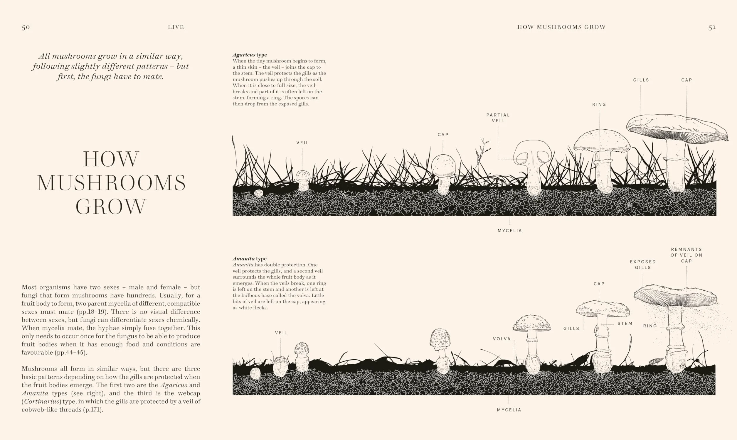 Fungi: Discover the Science and Secrets Behind the World of Mushrooms