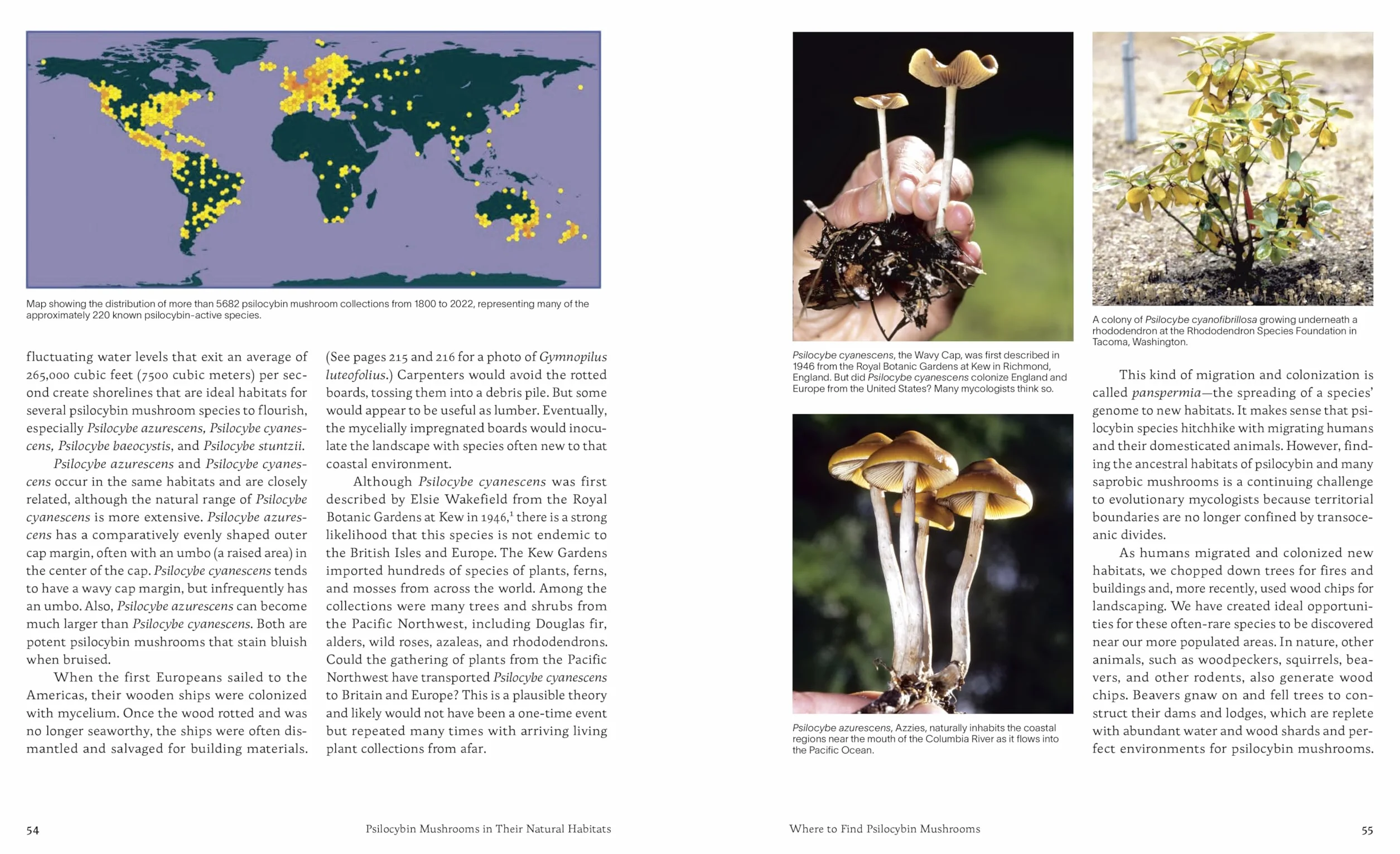 Psilocybin Mushrooms in Their Natural Habitats: A Guide to the History, Identification, and Use of Psychoactive Fungi