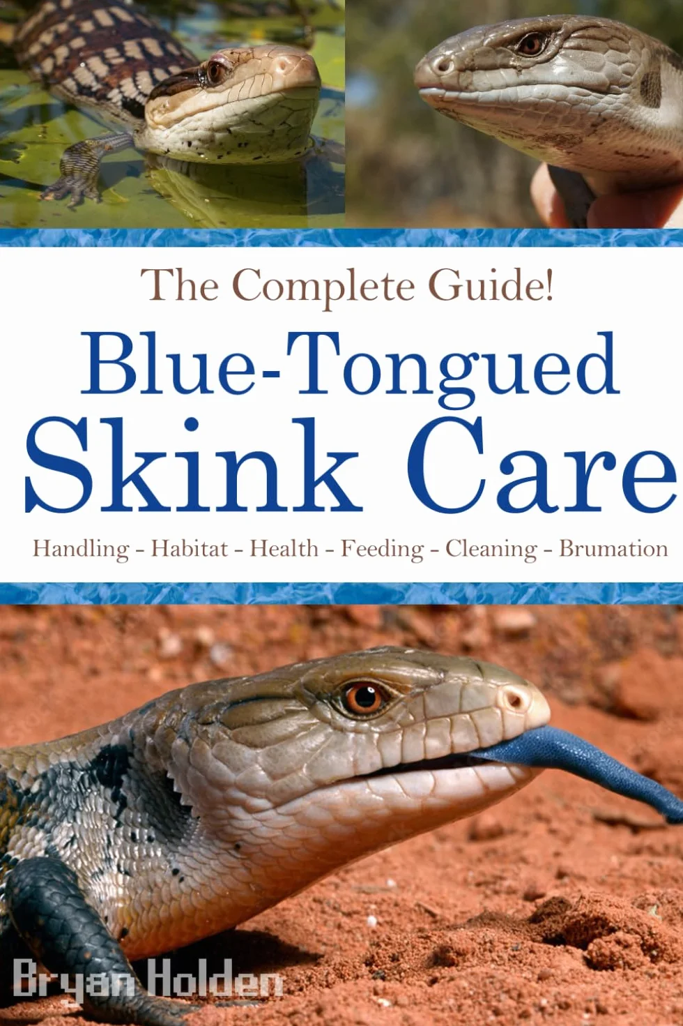 Blue-Tongued Skink Care: The Complete Guide to Caring for and Keeping Blue-tongued Skinks as Pets