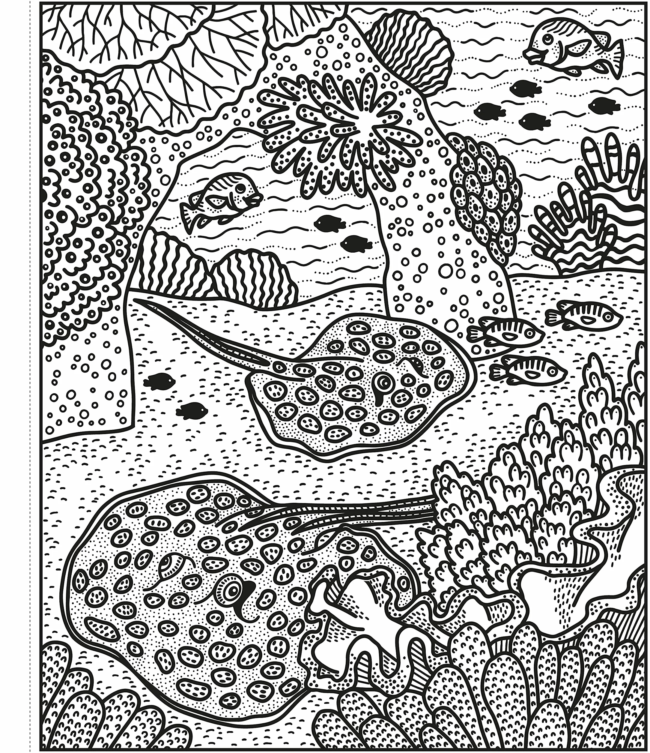 Magic Painting Coral Reef Book