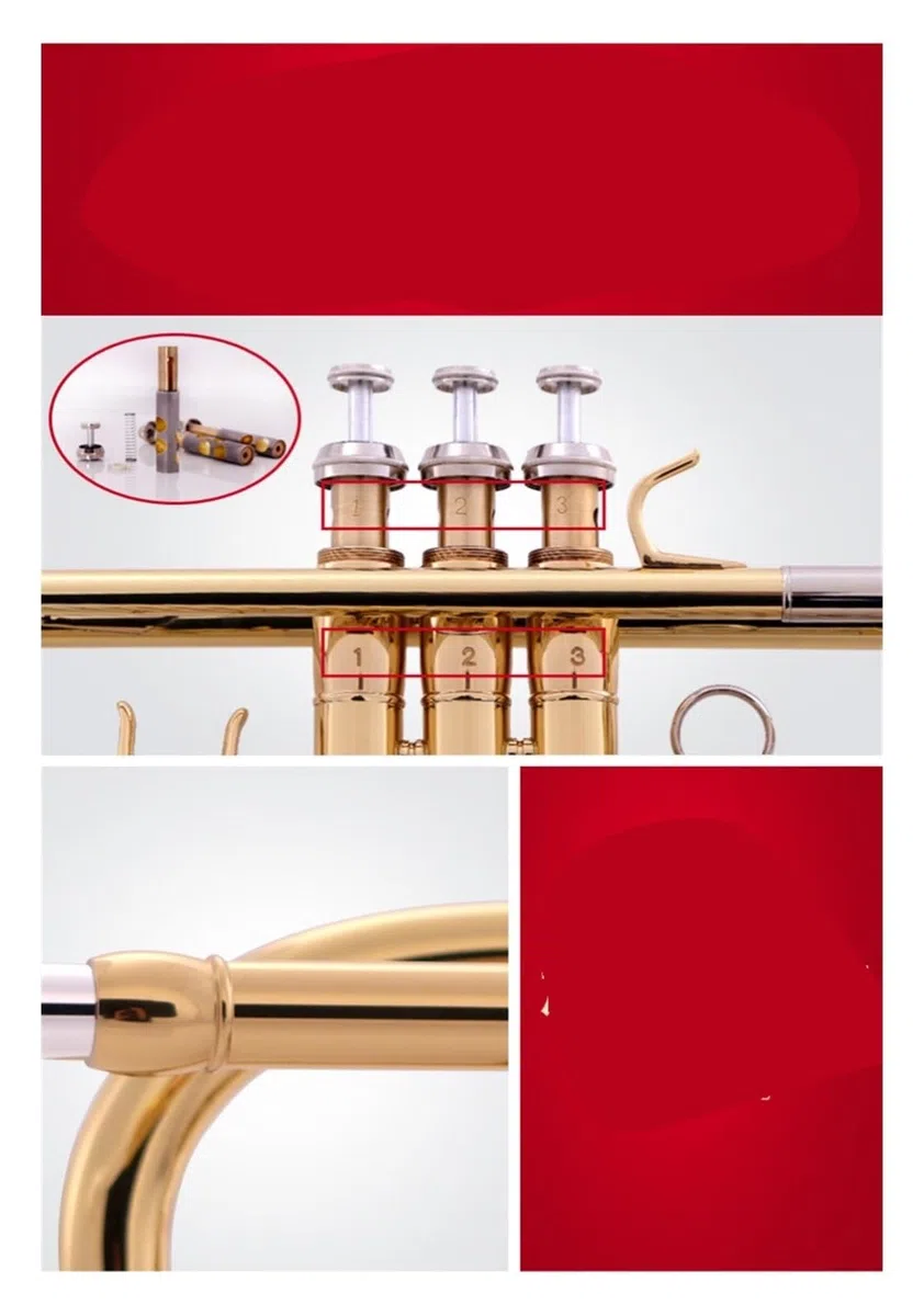trąbka instrument Trąbka dla początkujących B z płaską rurką z brązu fosforowego i ustnikiem z białej miedzi