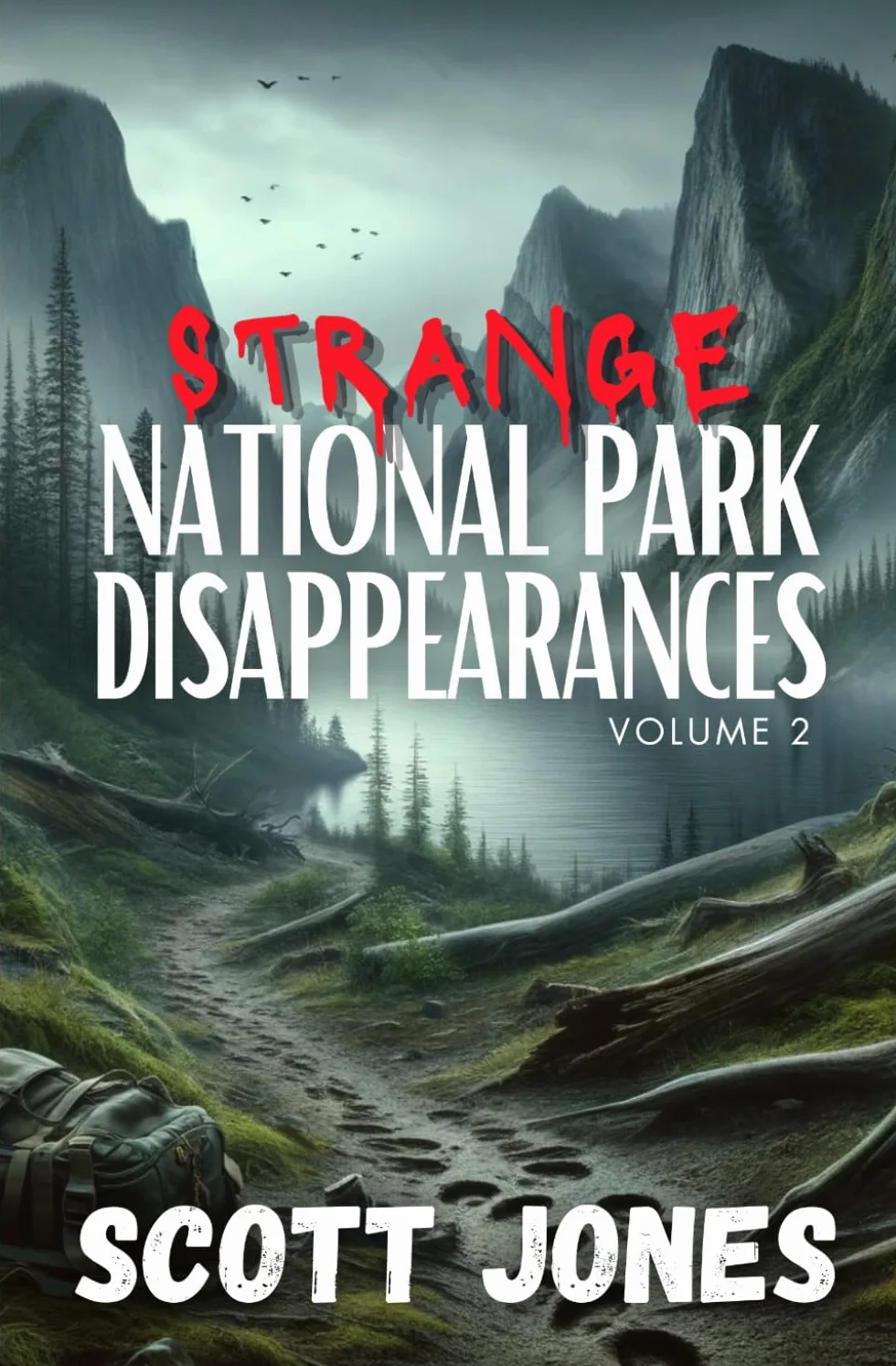 Strange National Park Disappearances: Volume 2