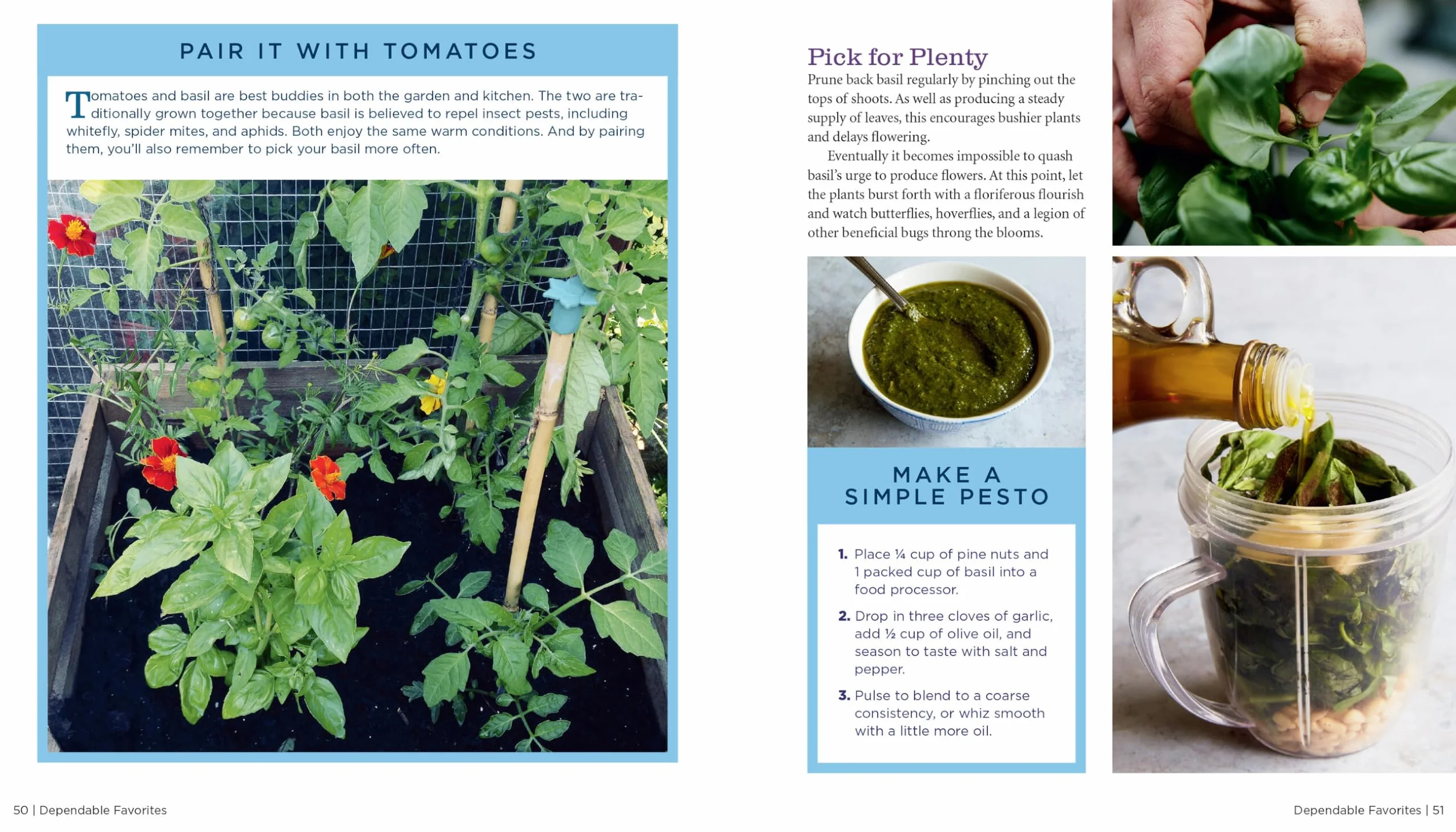 GrowVeg: The Beginner's Guide to Easy Vegetable Gardening