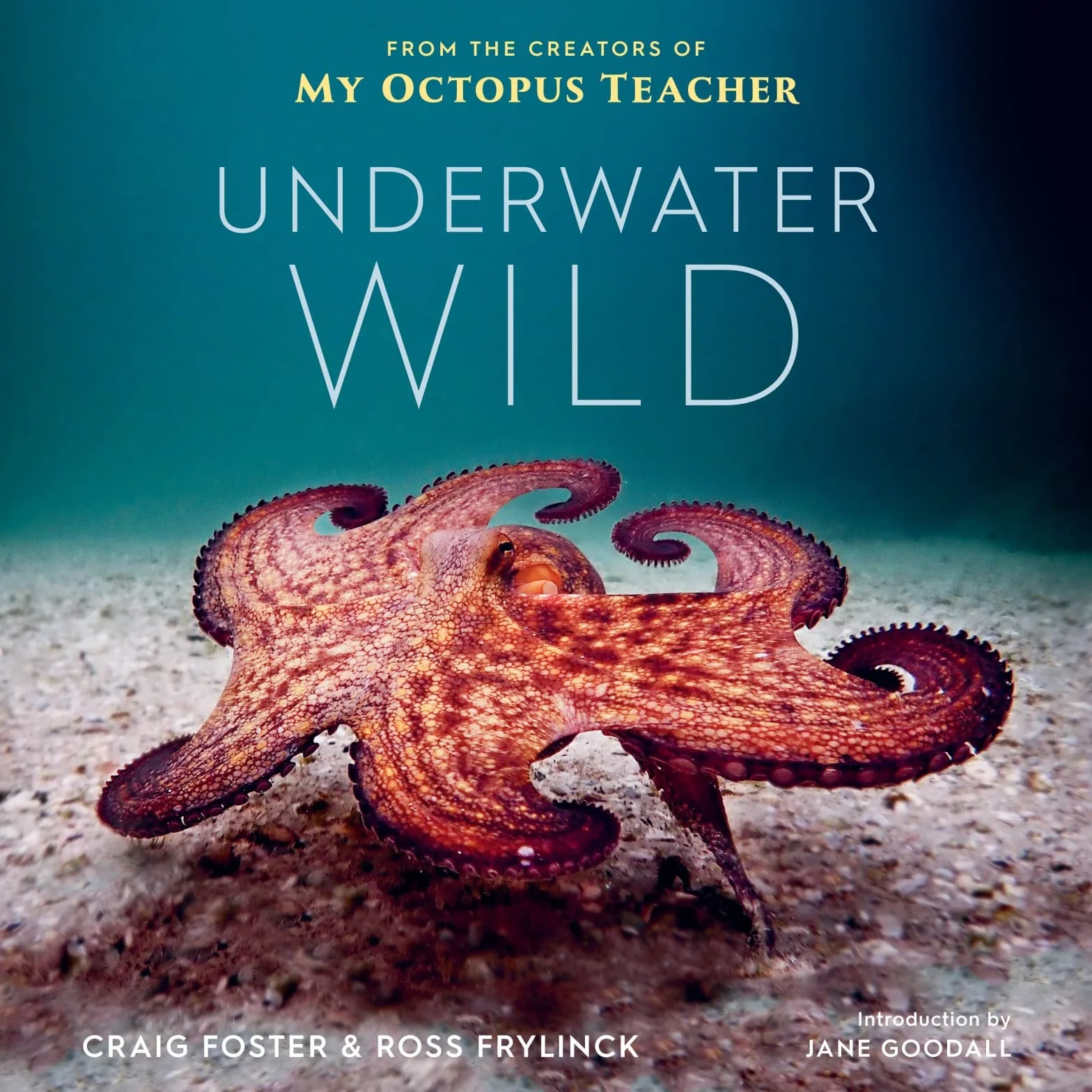 Underwater Wild: My Octopus Teacher's Extraordinary World