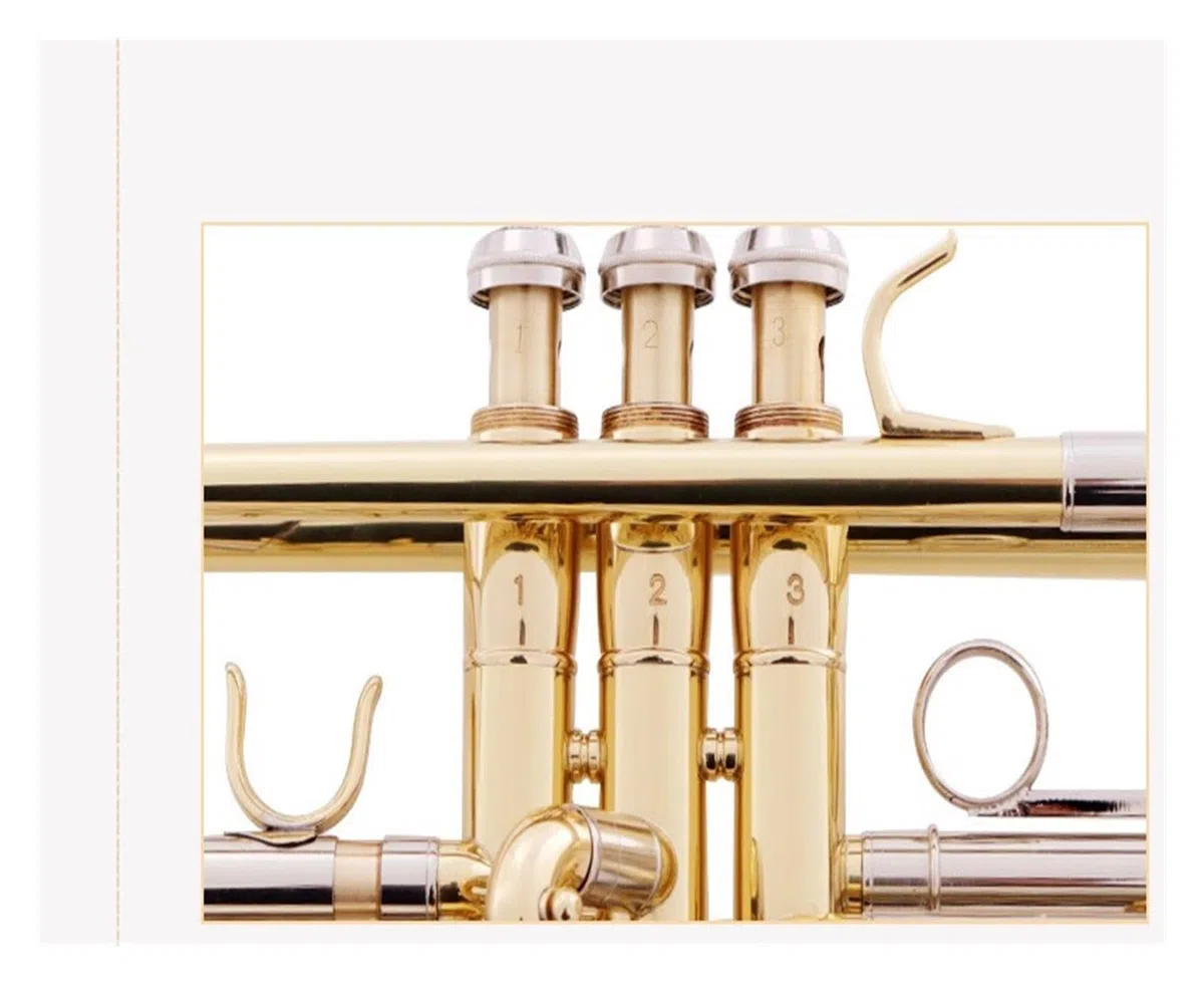trąbka instrument Nowa mosiężna trąbka B z płaskim paskiem dla początkujących