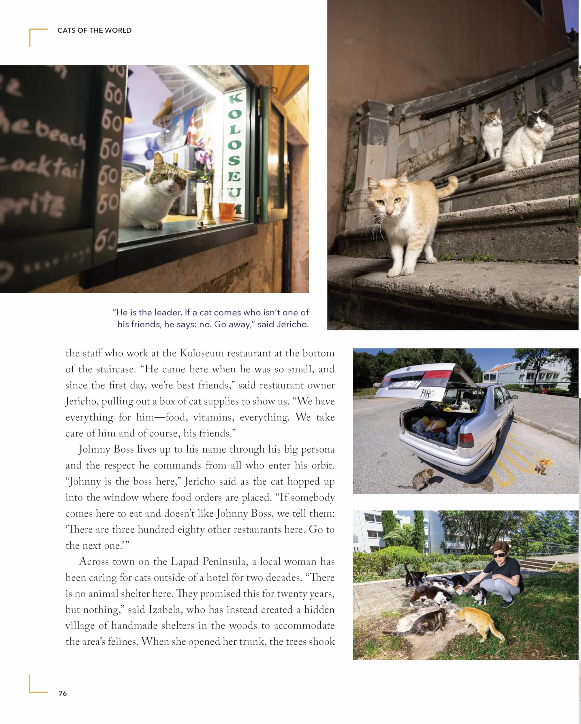 Cats of the World: TK
