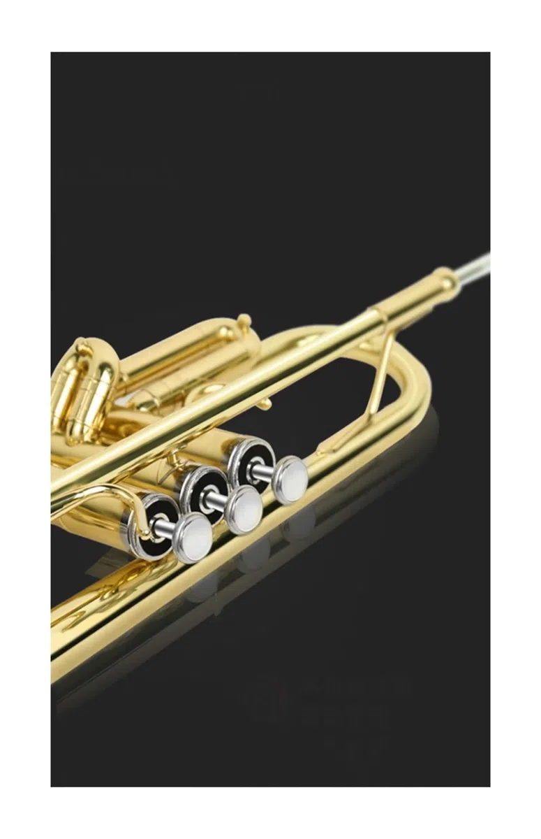 trąbka instrument Trąbka tłokowa B-Monela B-dur studenckiej orkiestry dętej Young Pioneers