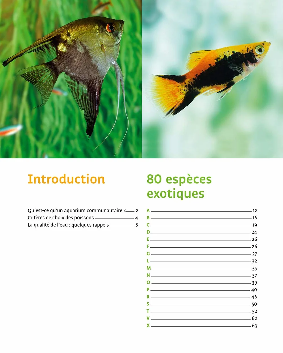 80 poissons exotiques: Les meilleures espèces pour aquarium d'eau douce