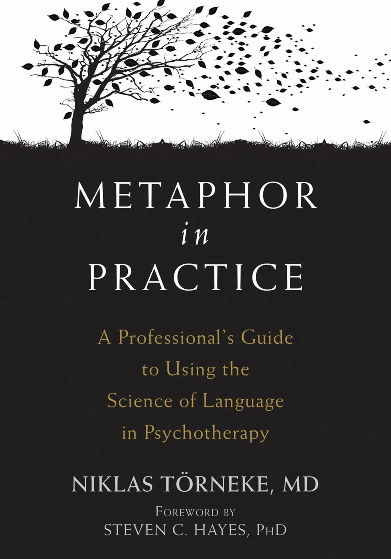 Metaphor in Practice: A Professional's Guide to Using the Science of Language in Psychotherapy