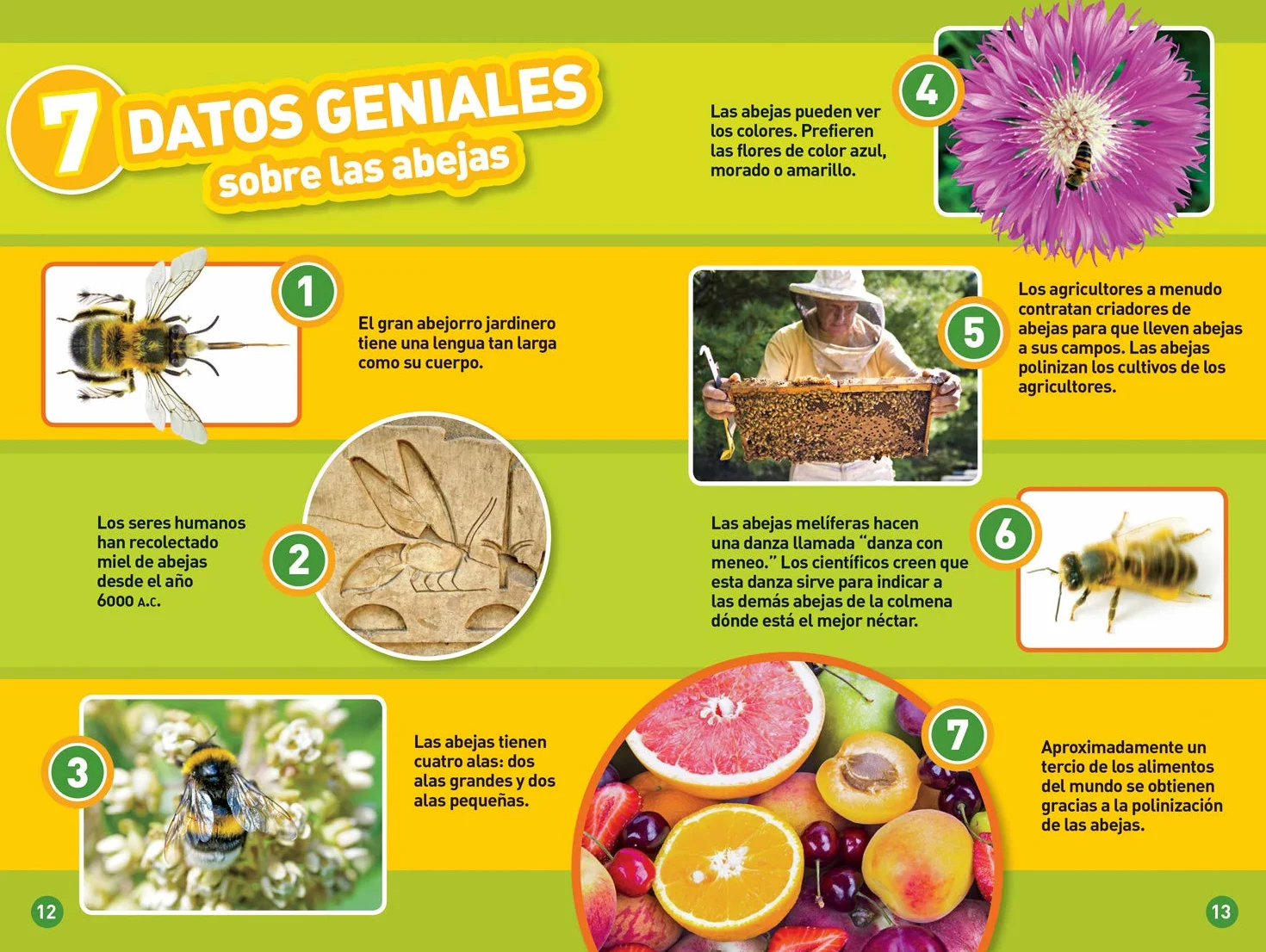 Las Abejas (L2)