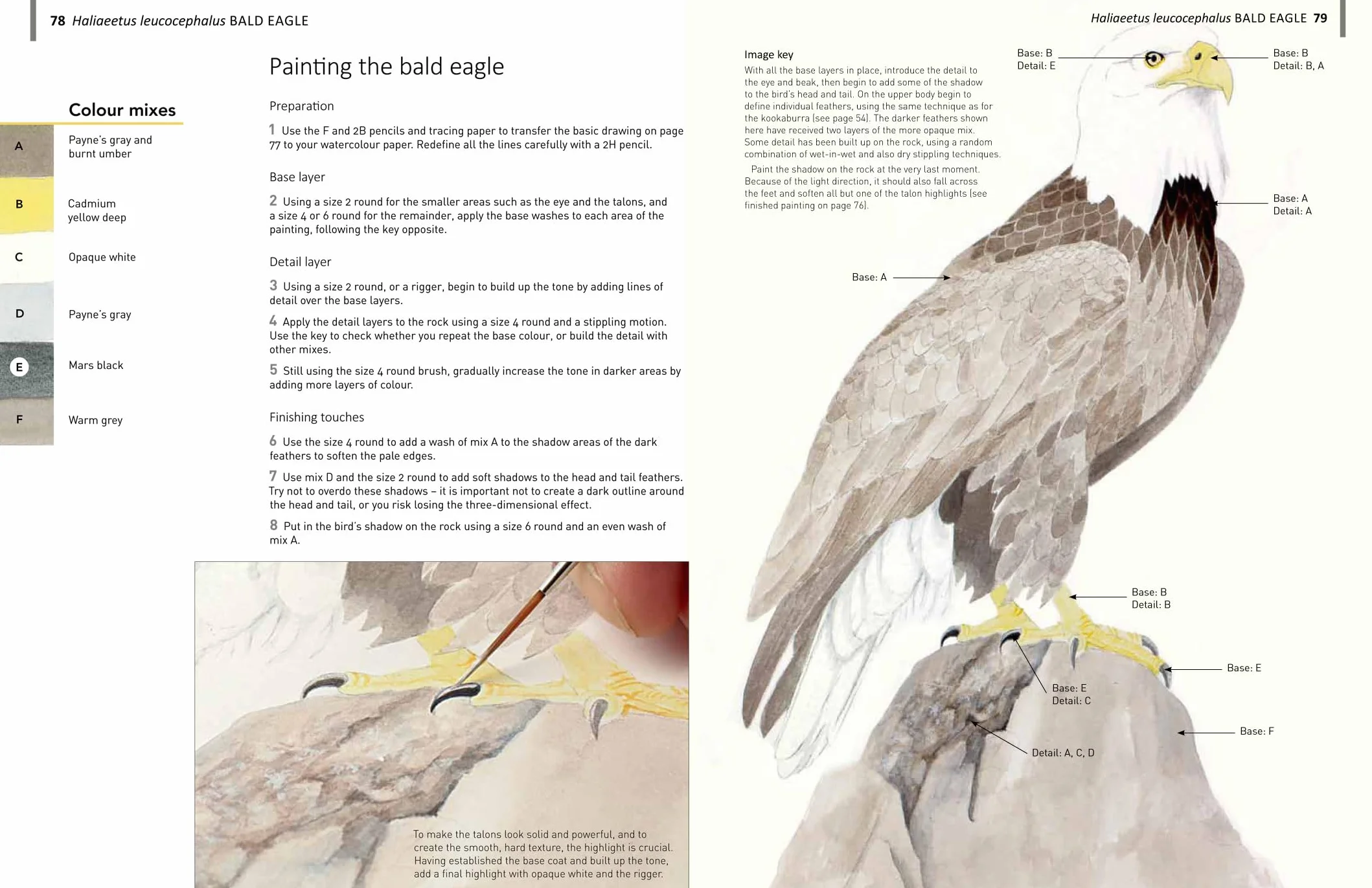 A-Z of Bird Portraits: An Illustrated Guide to Painting Beautiful Birds in Acrylics