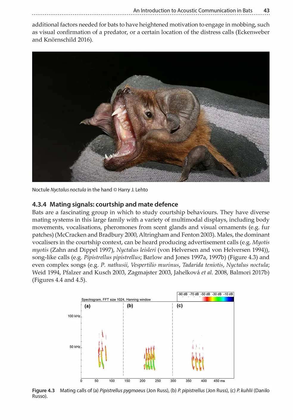Bat Calls of Britain and Europe: A Guide to Species Identification