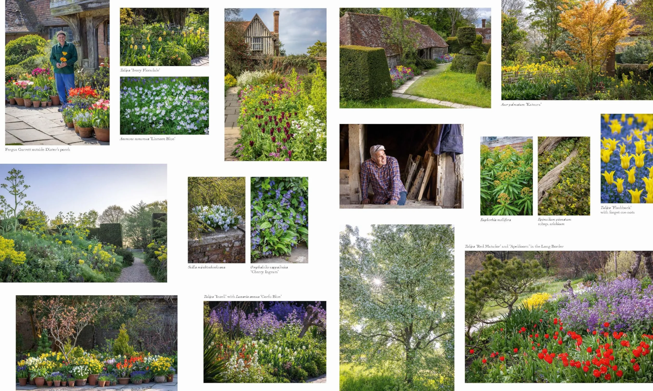 Cottage Gardens: A Stunning Tour of Bucolic British Gardens