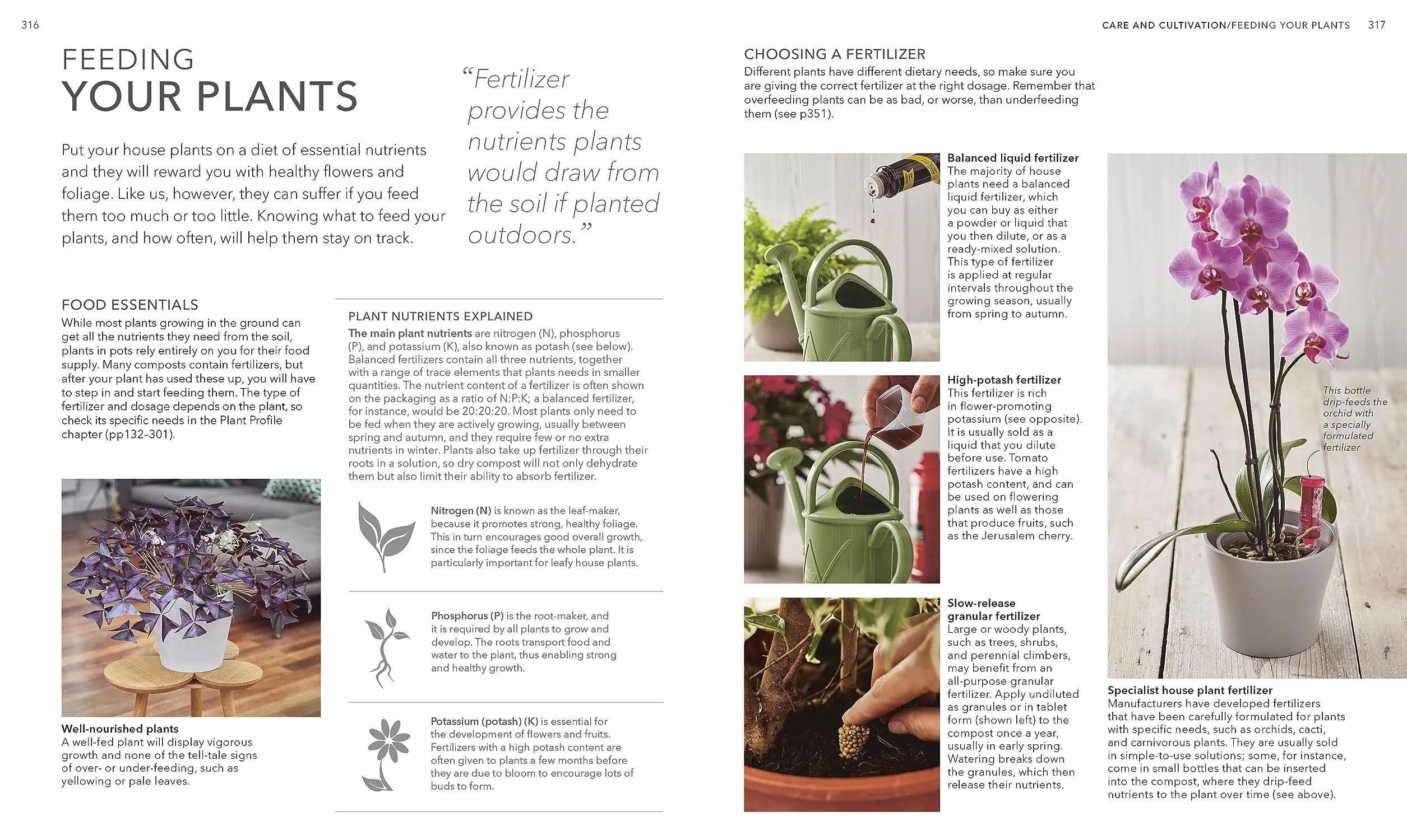 RHS House Plant: Practical Advice for All House Plants, Cacti and Succulents
