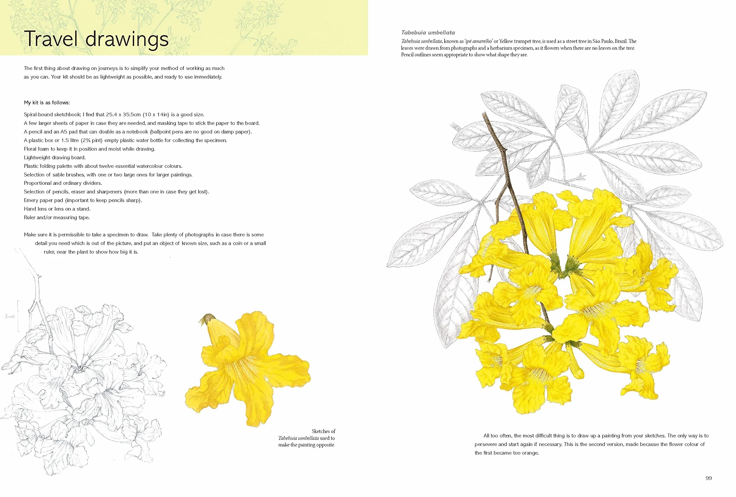 Kew Book of Botanical Illustration