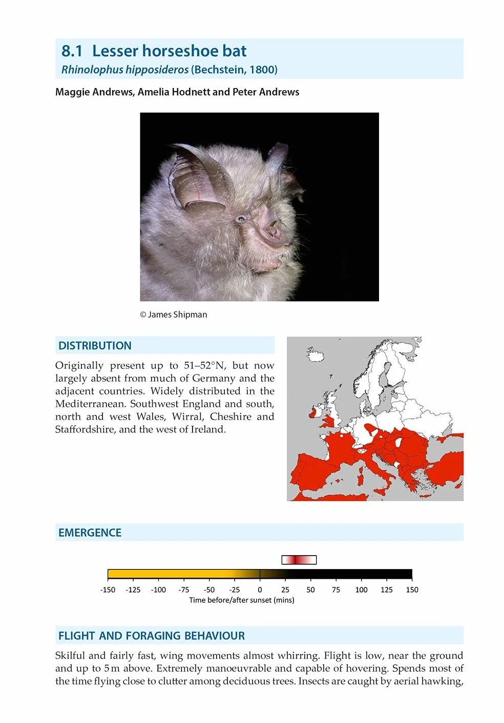 Bat Calls of Britain and Europe: A Guide to Species Identification