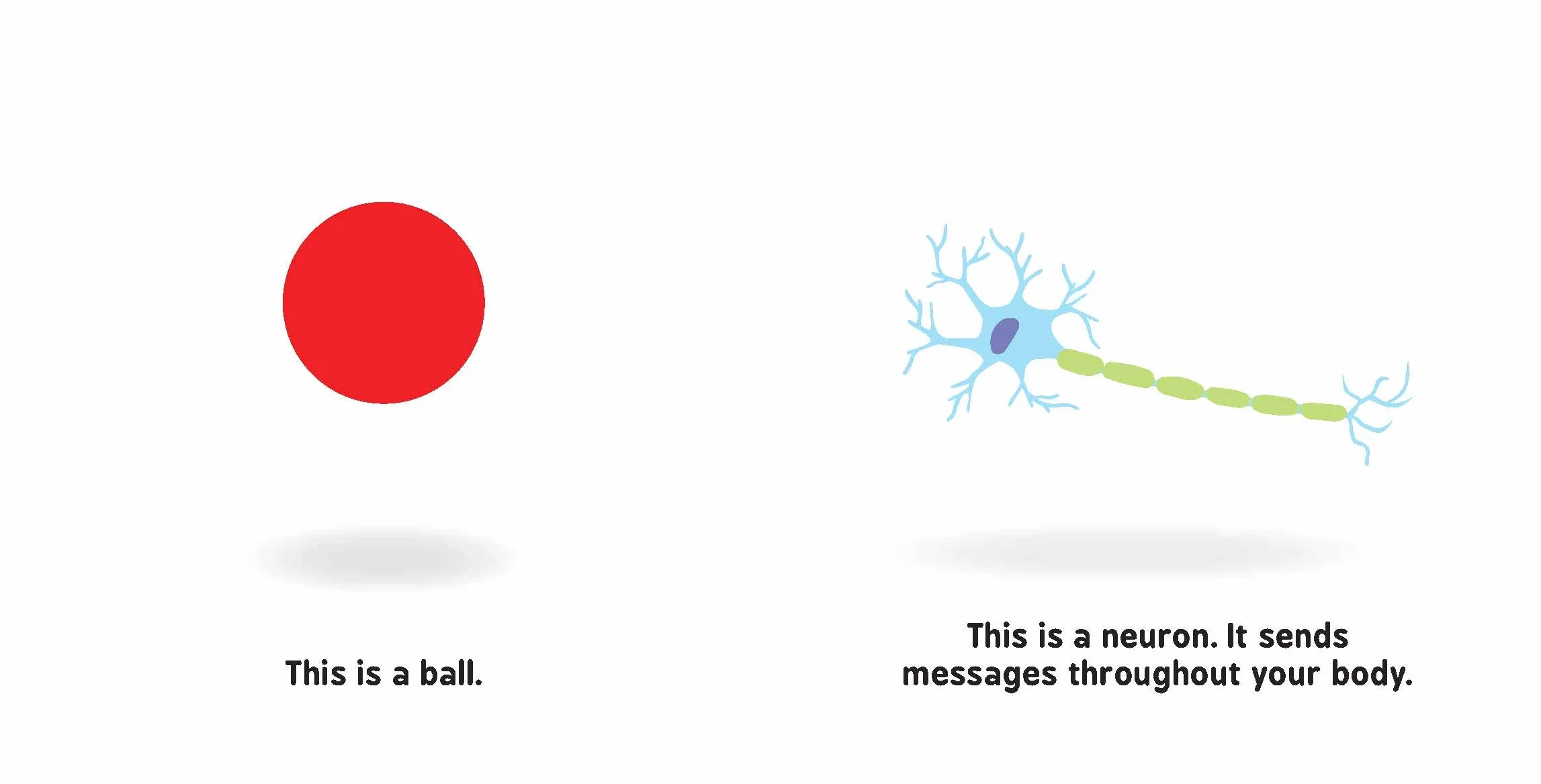 Neural Networks for Babies (Baby University)