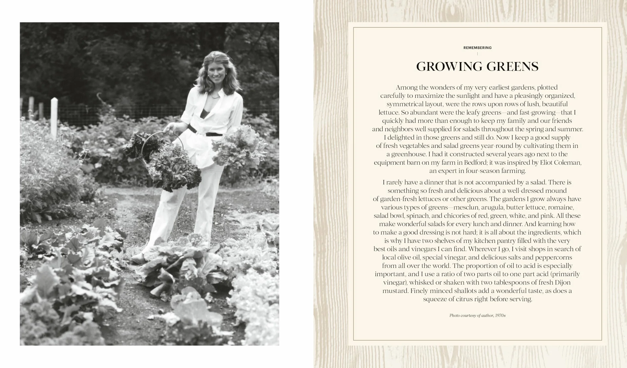 Martha: The Cookbook: 100 Favorite Recipes, with Lessons and Stories from My Kitchen