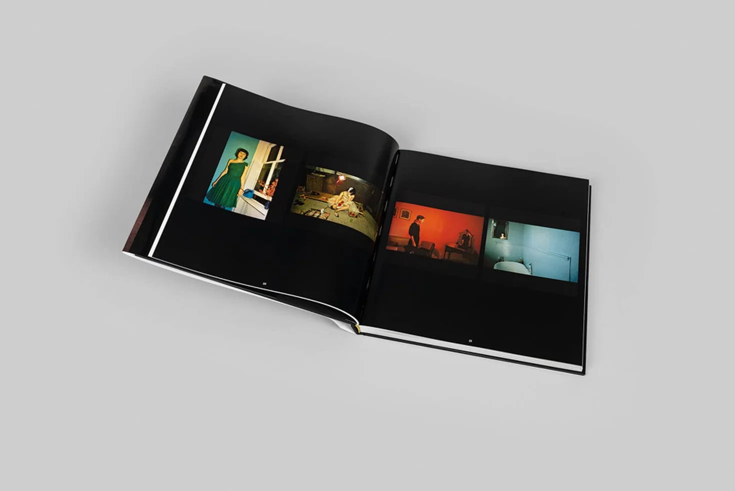 Nan Goldin This Will Not End Well /anglais