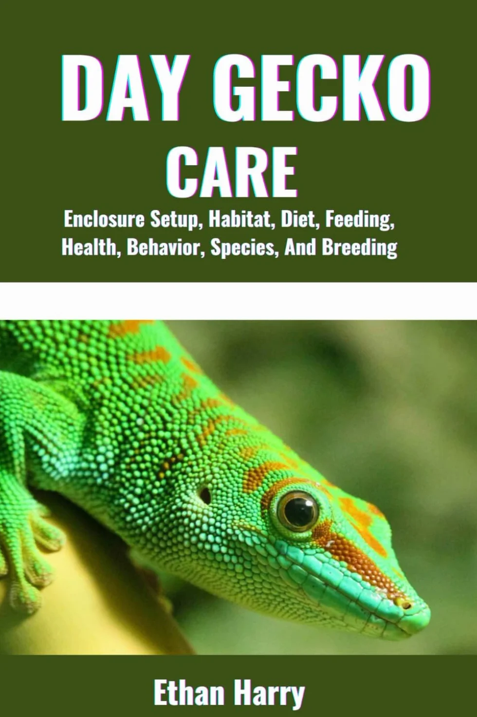 DAY GECKO CARE: Enclosure Setup, Habitat, Diet, Feeding, Health, Behavior, Species, And Breeding