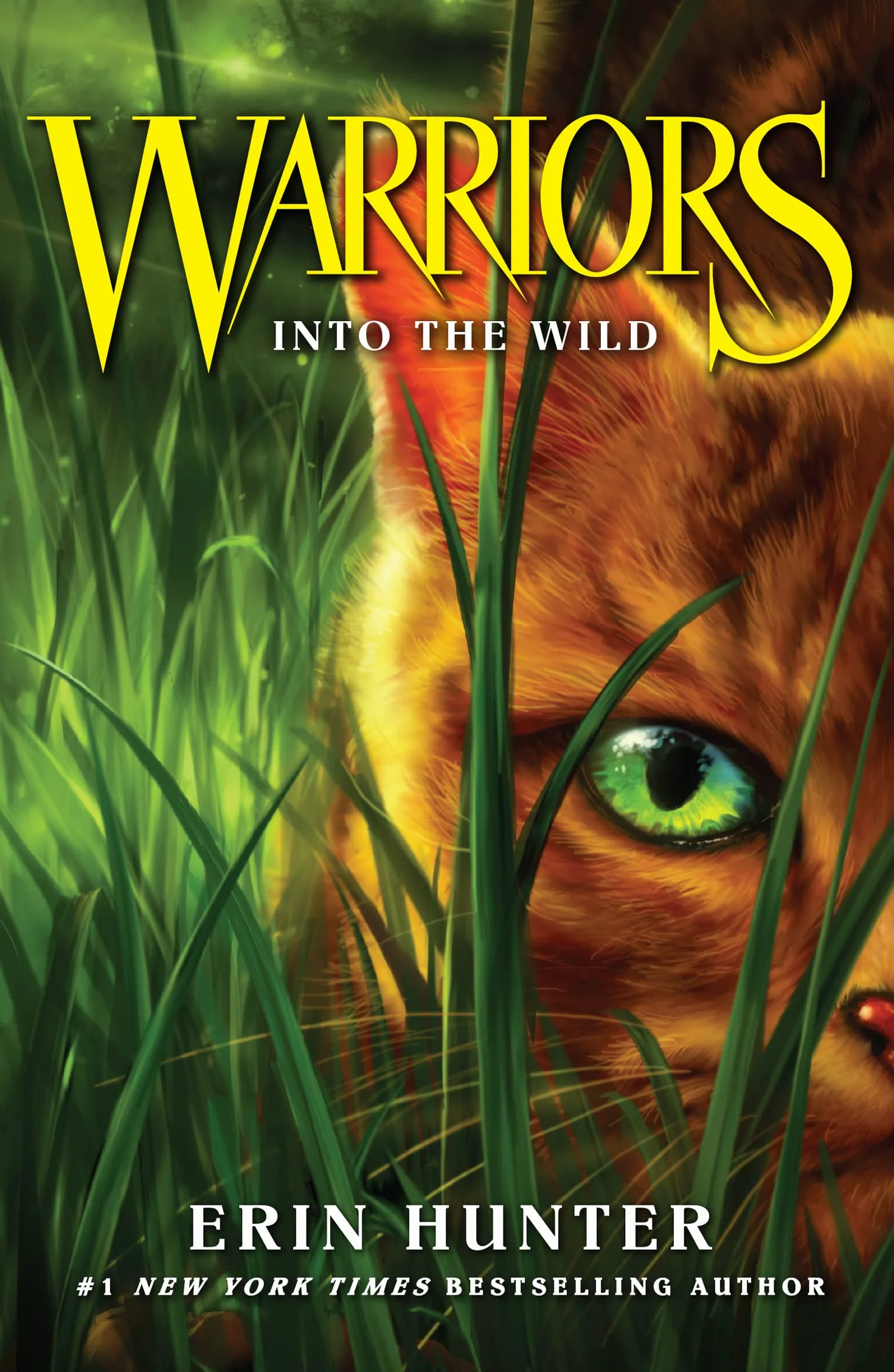 Into the Wild: Book 1: Discover the Warrior cats, the bestselling children’s fantasy series of animal tales