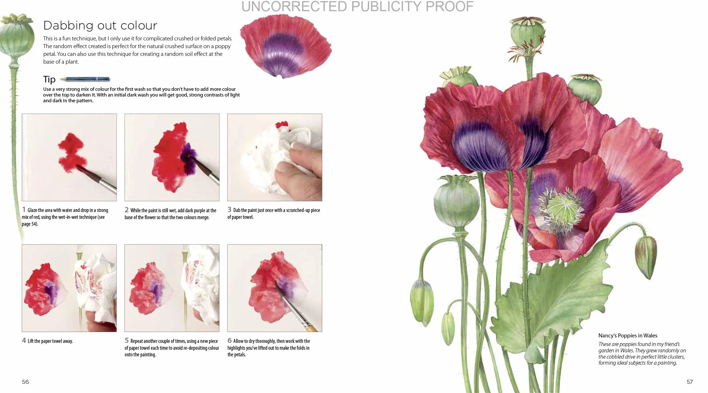 Billy Showell's Botanical Painting in Watercolour