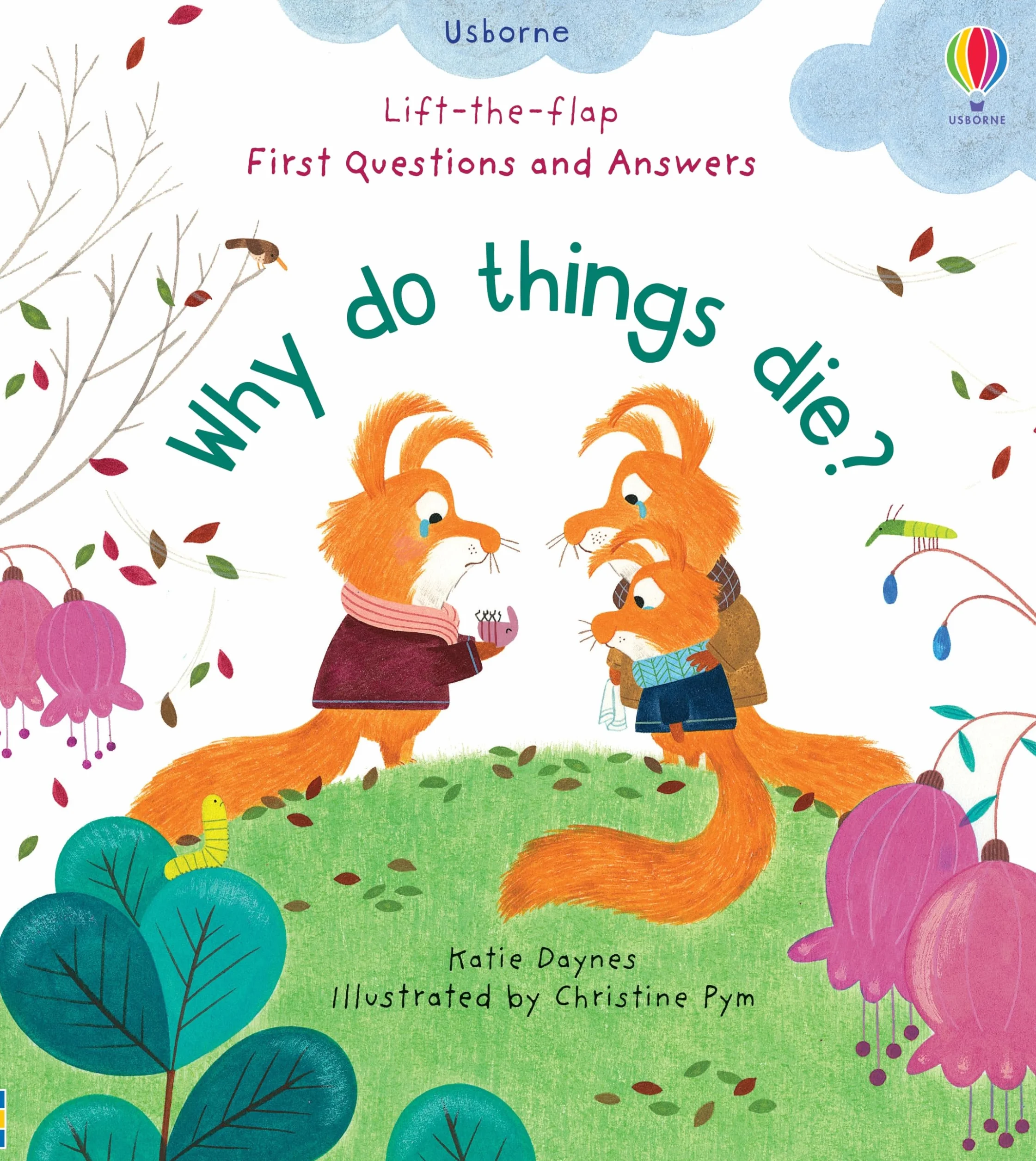 Why Do Things Die? (Lift the Flap First Questions & Answers): 1 (First Questions and Answers)