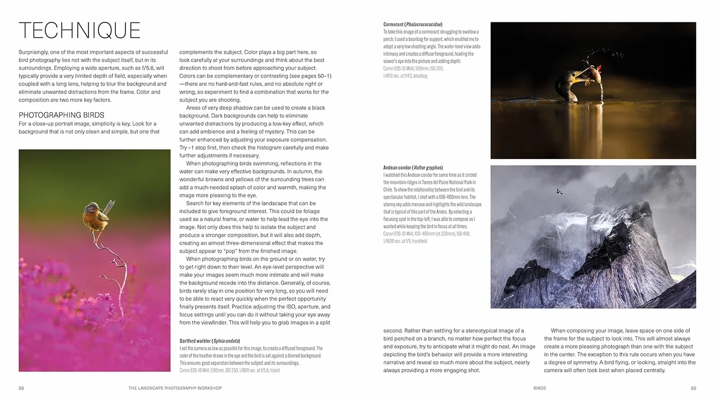The Wildlife Photography Workshop