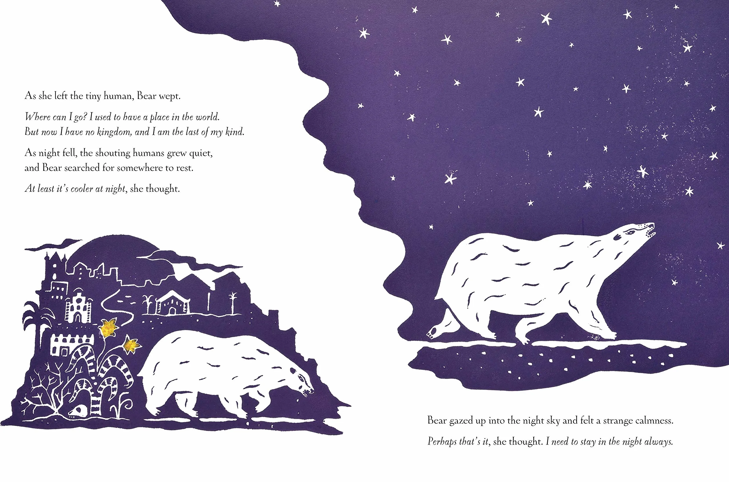 The Bear in the Stars