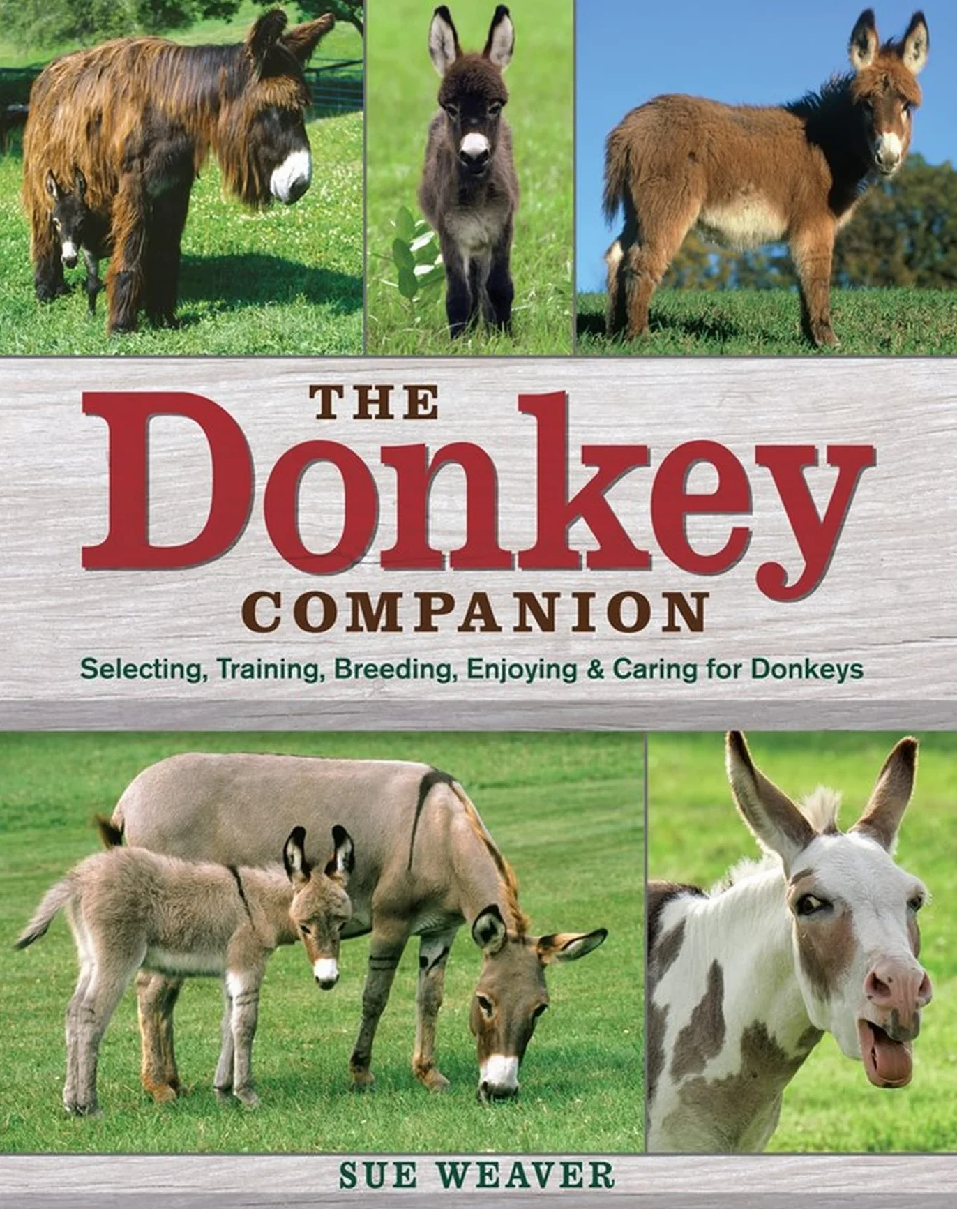 The Donkey Companion: Selecting, Training, Breeding, Enjoying & Caring for Donkeys