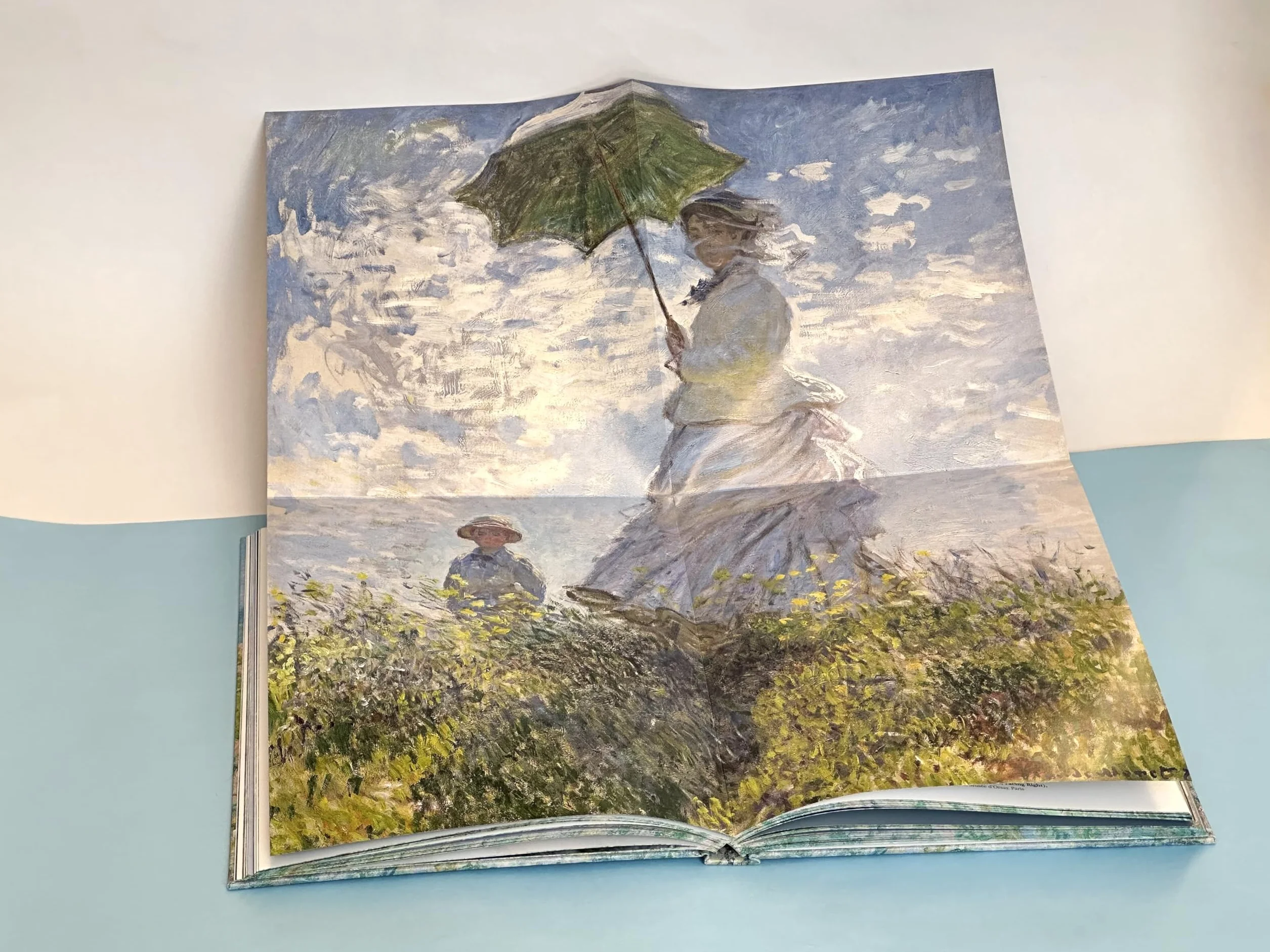 Monet: The Bigger Picture