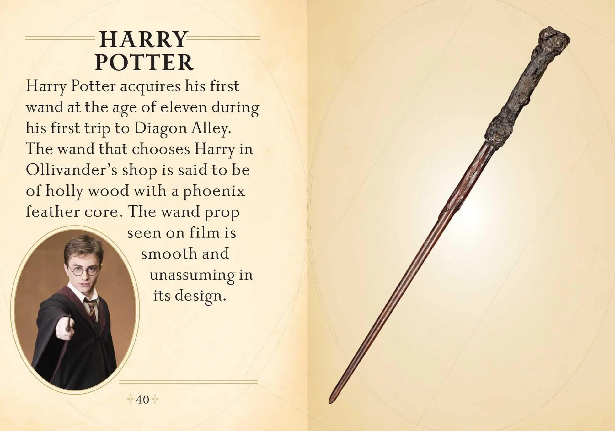 Harry Potter: The Mini Book of Wands