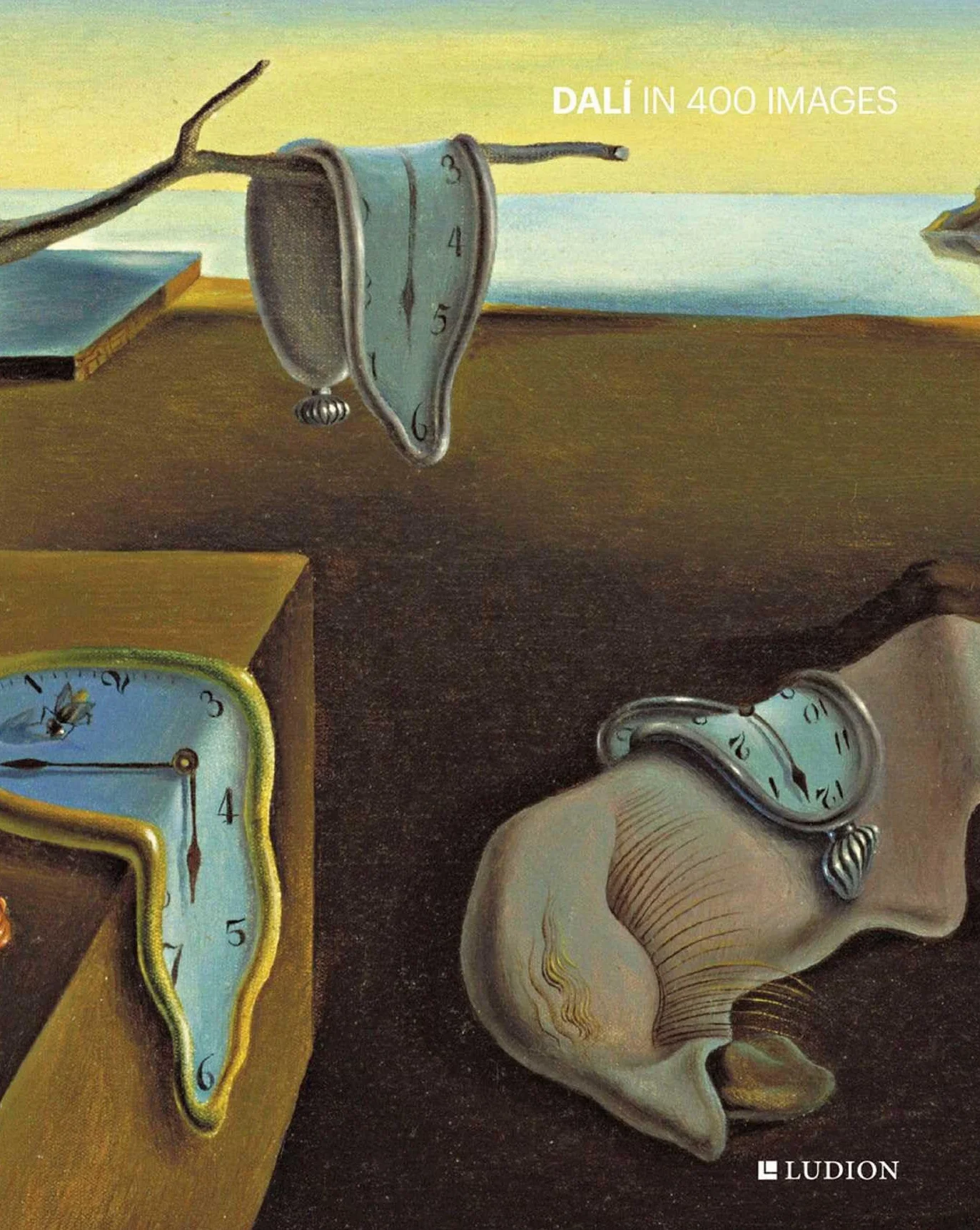 Dalí in 400 Images