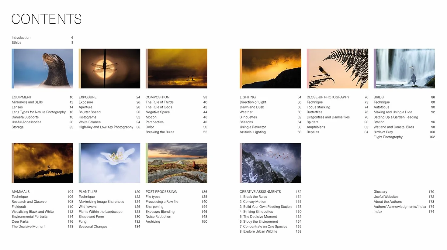 The Wildlife Photography Workshop