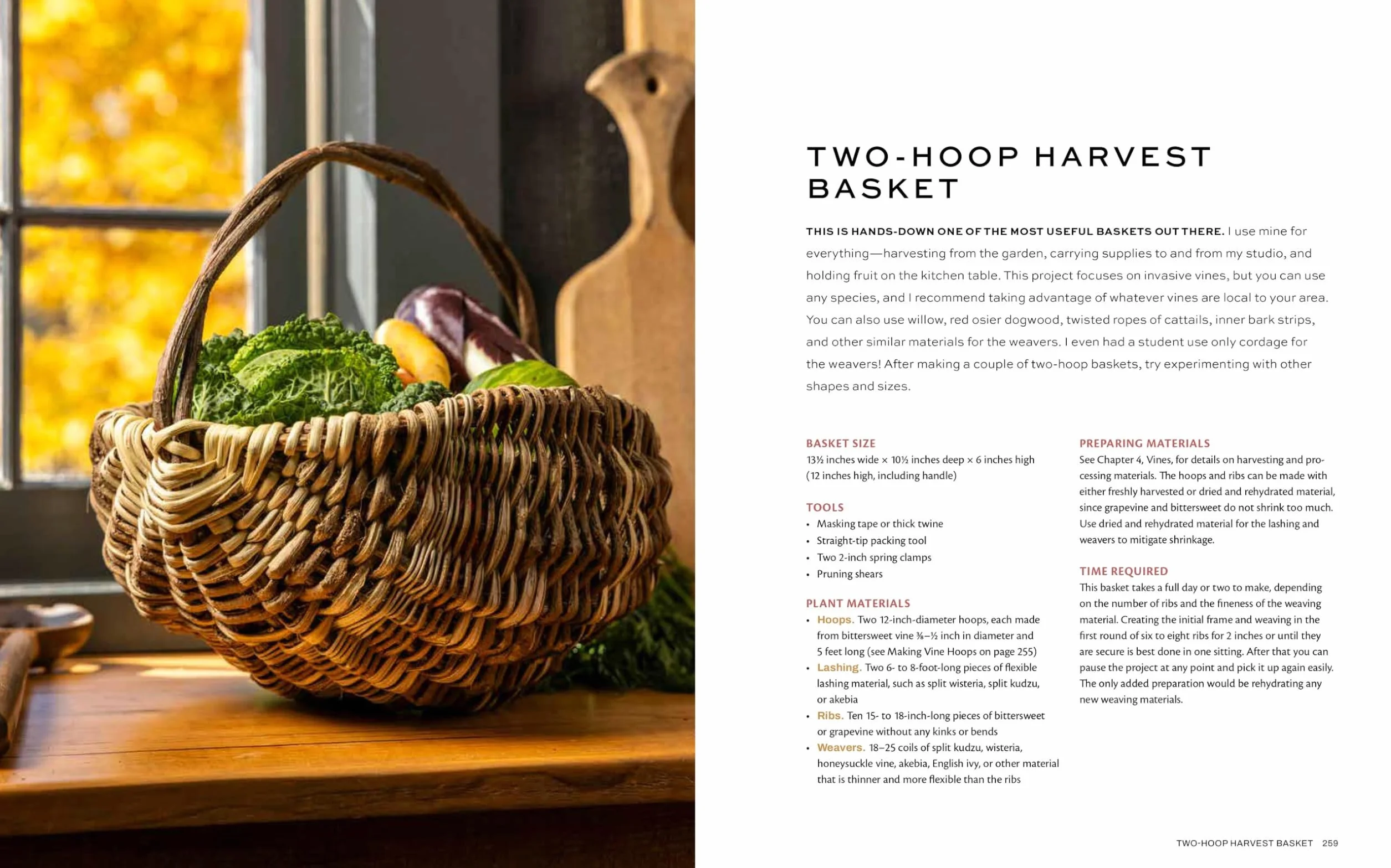 Weaving Wild Baskets: Techniques and Projects Using Foraged Leaves, Grasses, Vines, and Bark