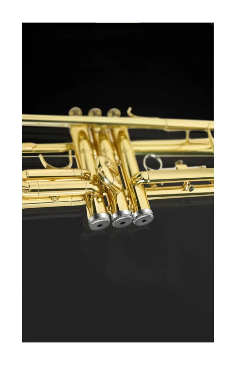 trąbka instrument Trąbka tłokowa B-Monela B-dur studenckiej orkiestry dętej Young Pioneers