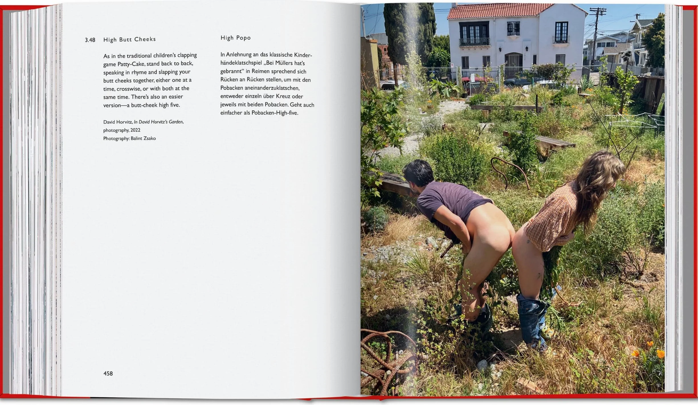 Carsten Höller. Book of Games