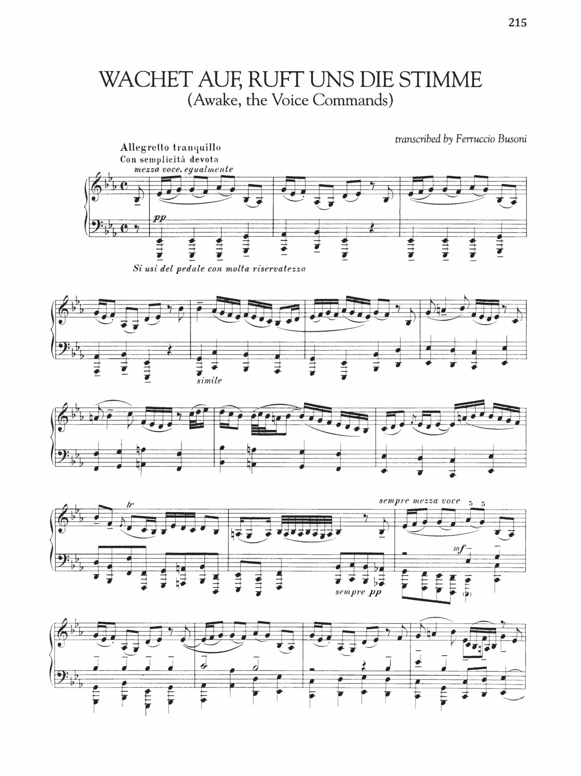 Johann sebastian bach : collected transcriptions 26 piano transcriptions by great composers and pian: Schirmer Library of Classics Volume 2044 Piano Solo