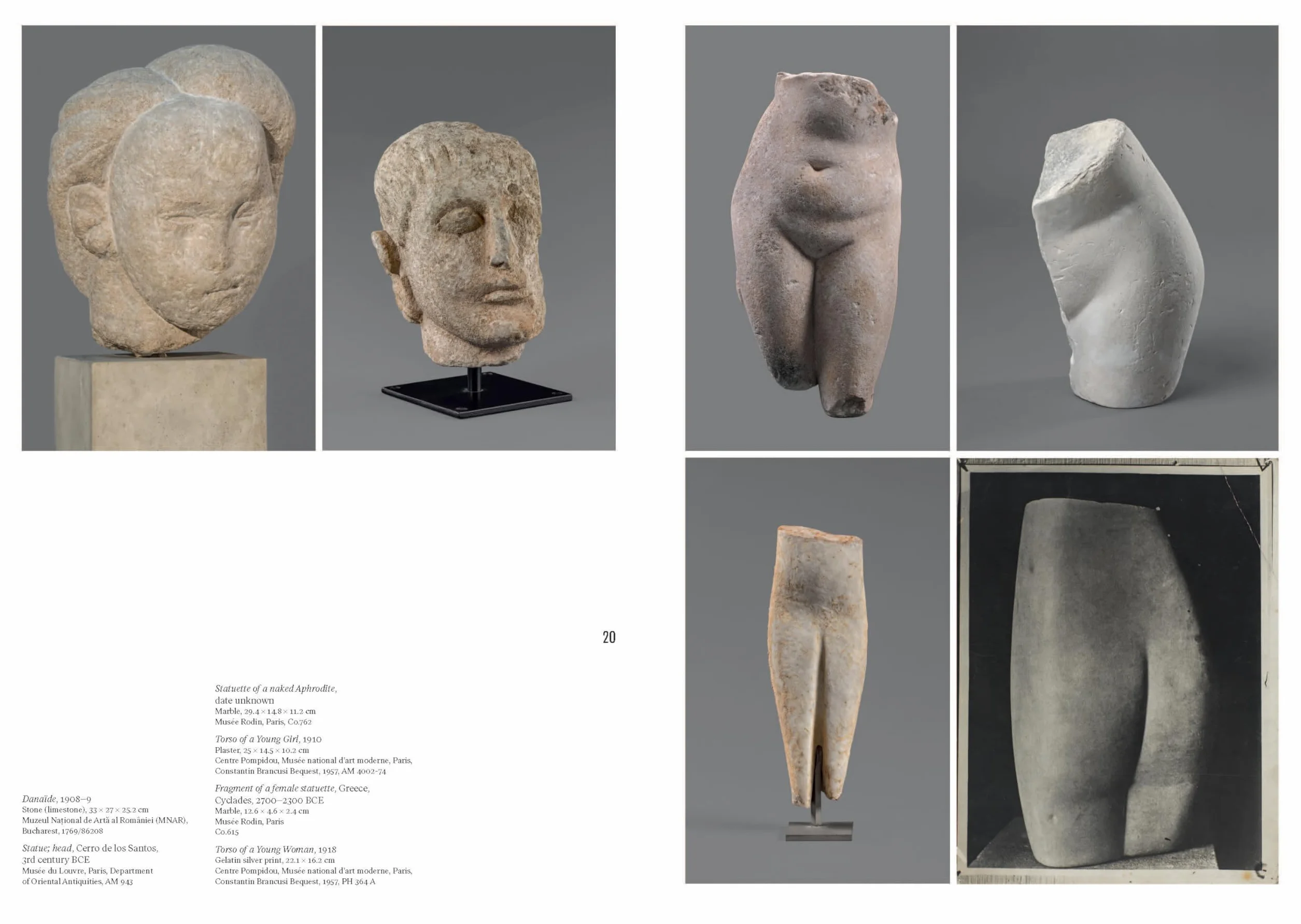 Brancusi /anglais: (Published in conjunction with a major exhibition at the Centre Pompidou in Paris)
