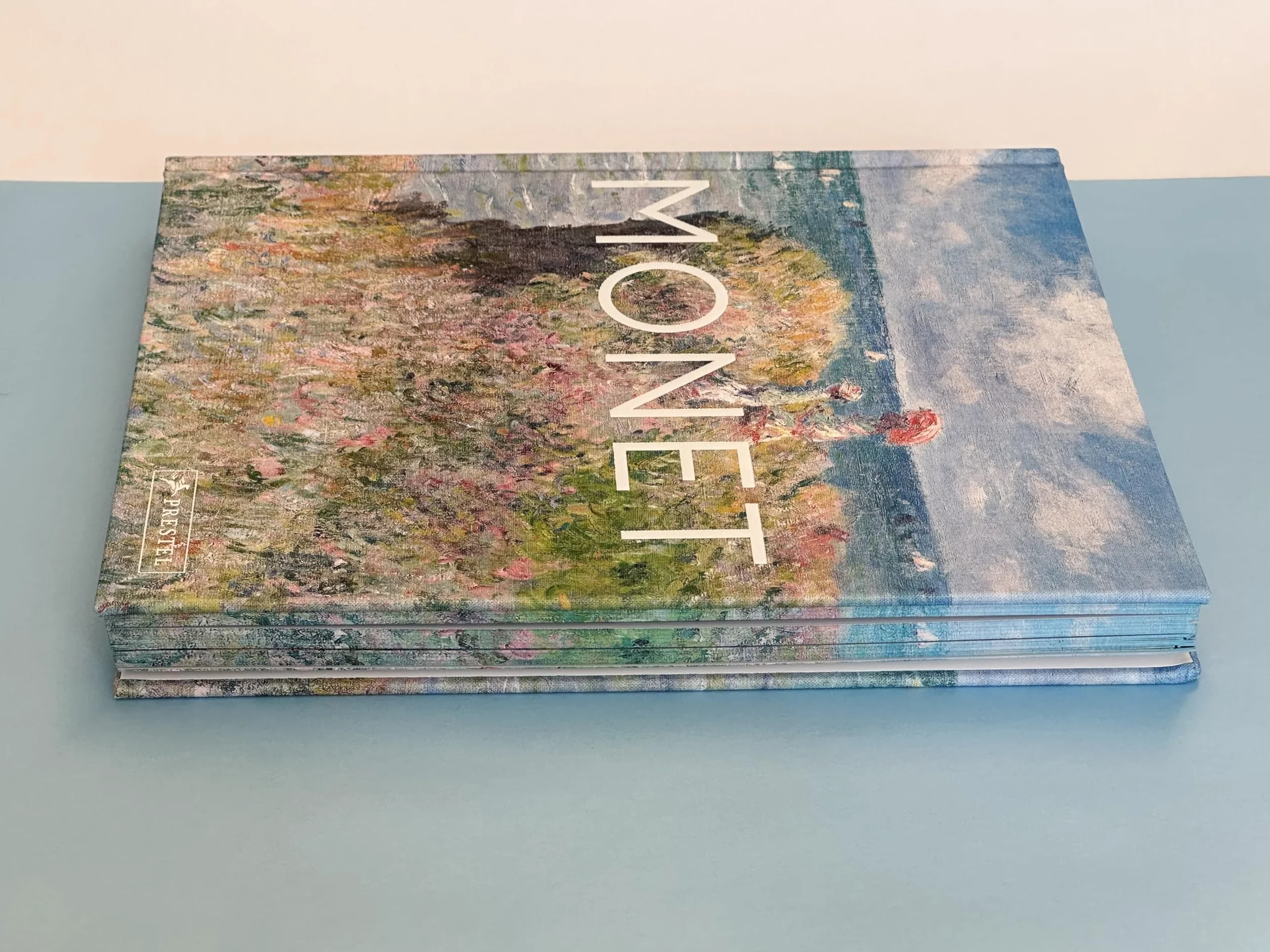 Monet: The Bigger Picture