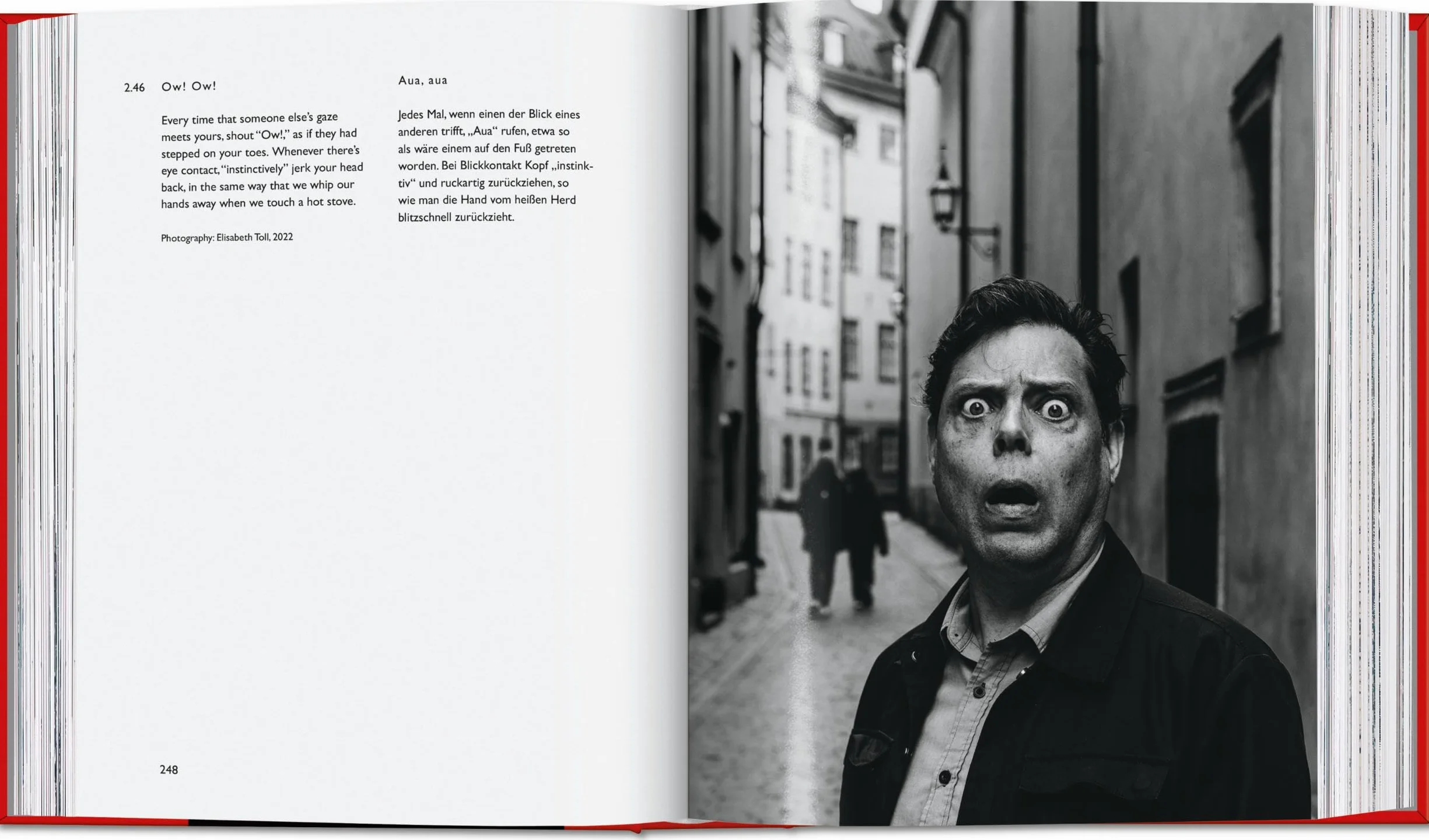 Carsten Höller. Book of Games