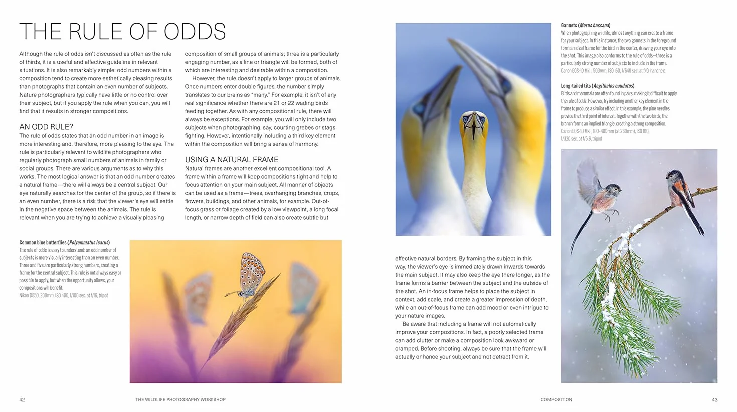 The Wildlife Photography Workshop