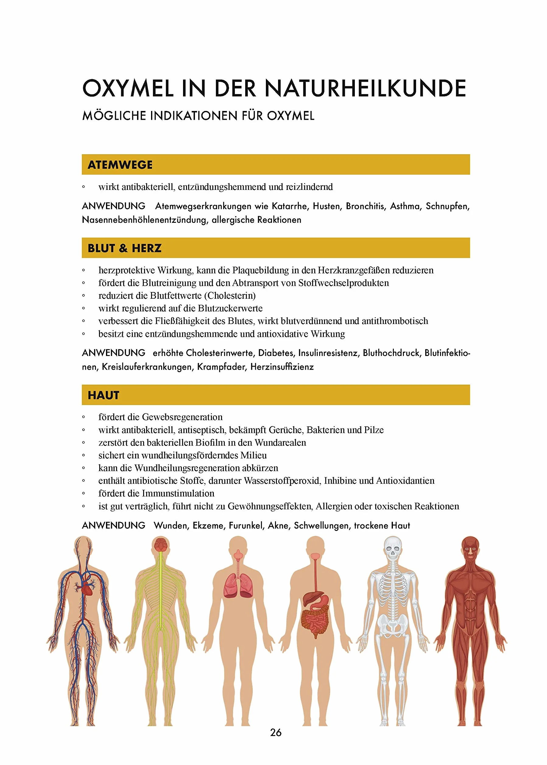 Das große Buch vom OXYMEL: Medizin aus Honig und Essig