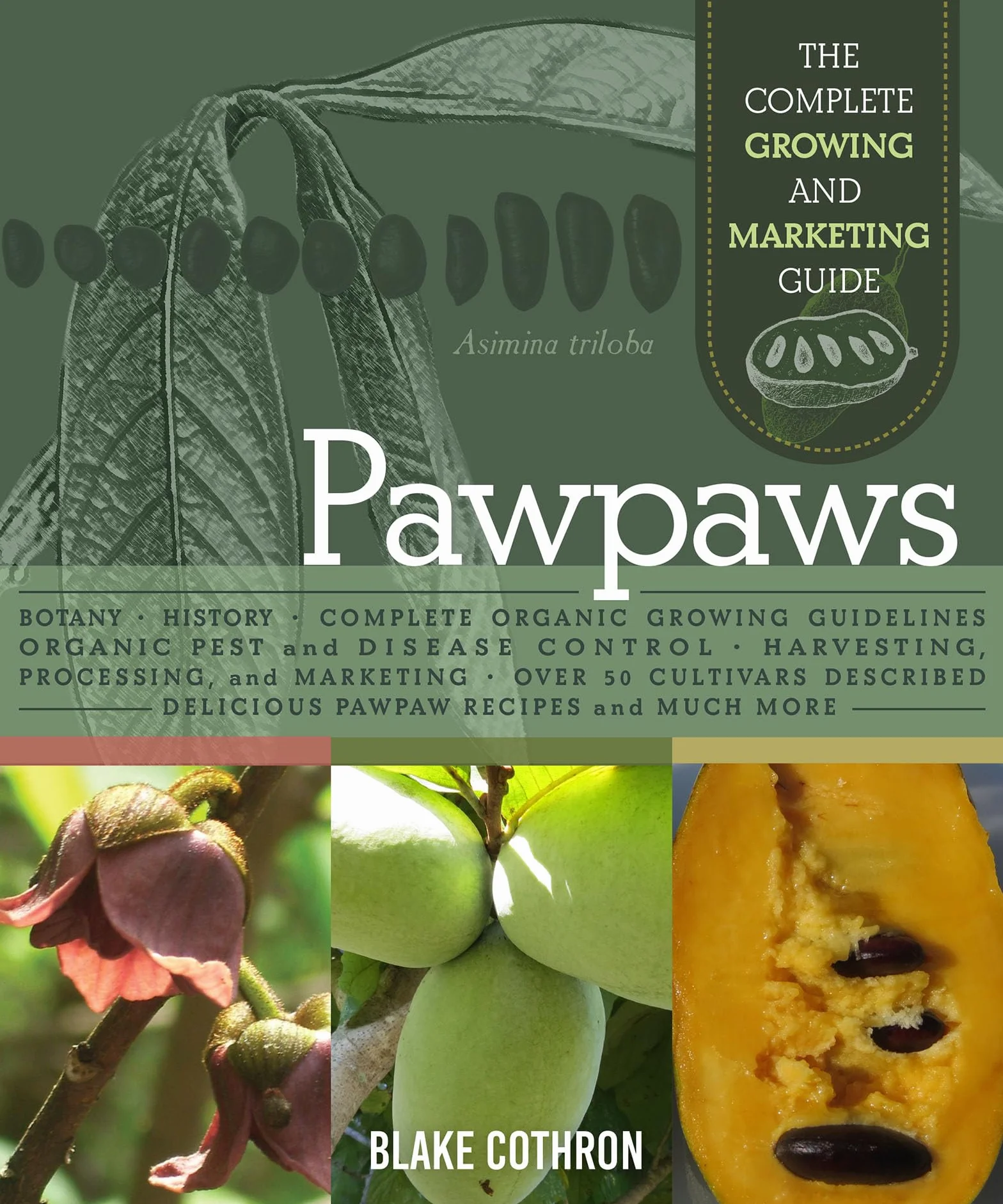 Pawpaws: The Complete Growing and Marketing Guide