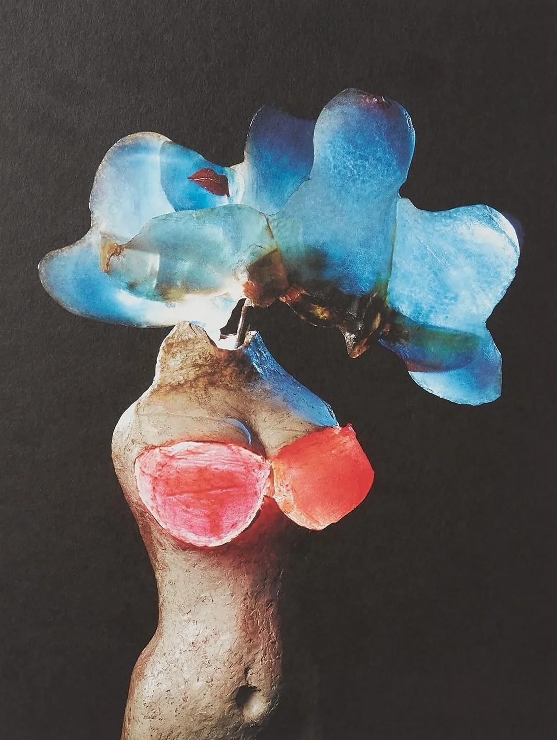 To Exalt the Ephemeral Alina Szapocznikow 1962-1972 /anglais