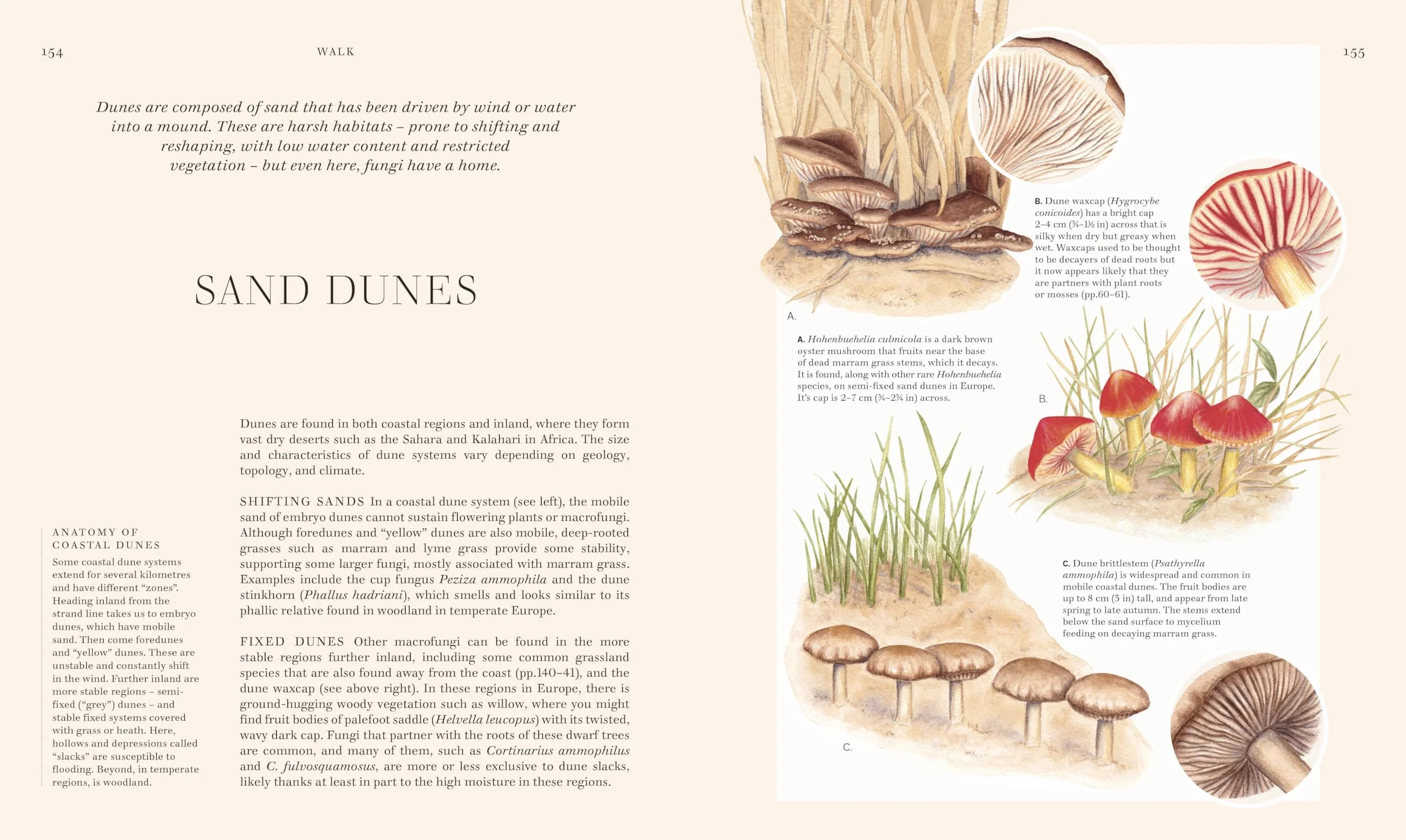 Fungi: Discover the Science and Secrets Behind the World of Mushrooms