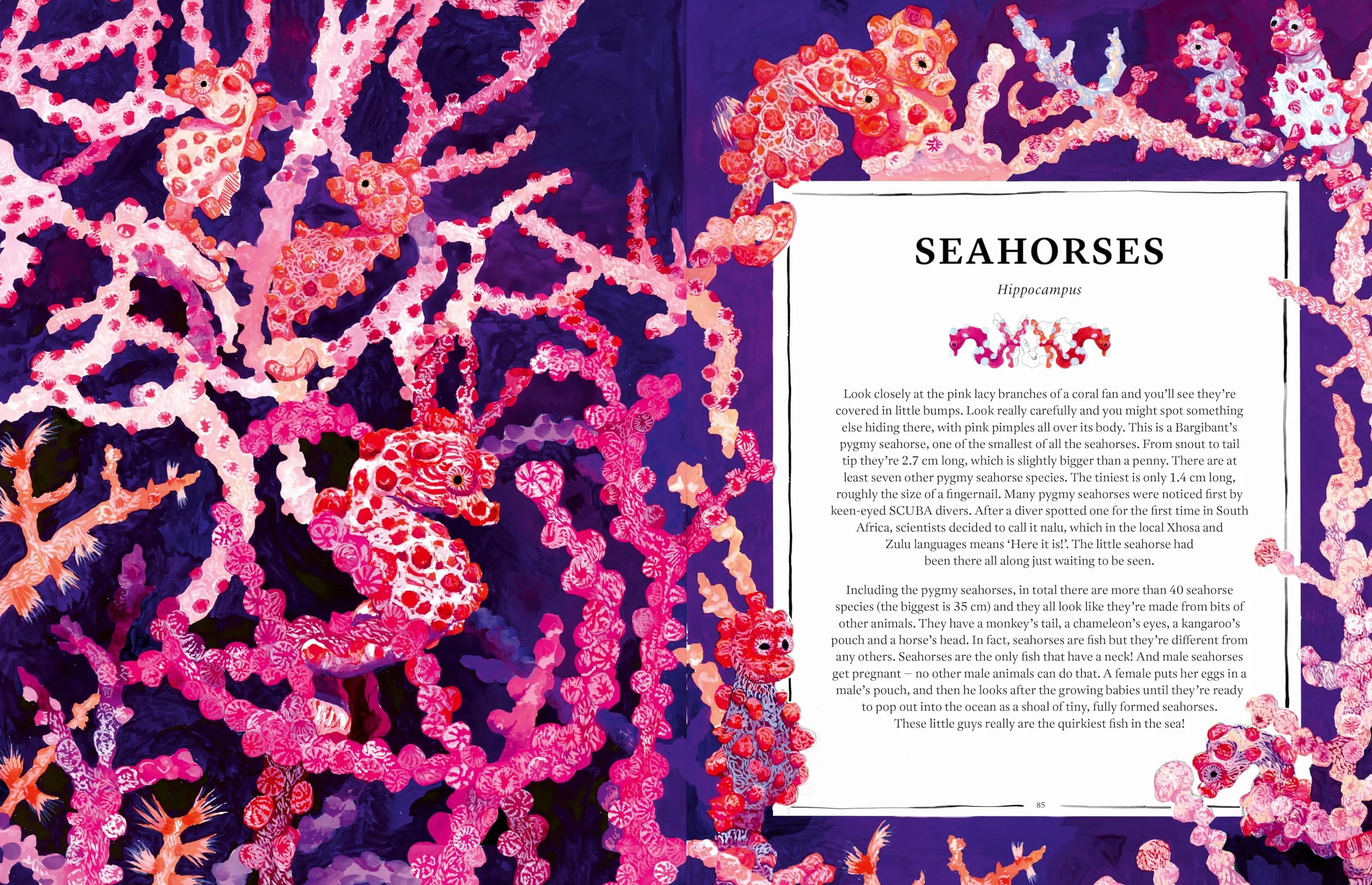 Oceanopedia /anglais: an Encyclopedia of Marine Creatures