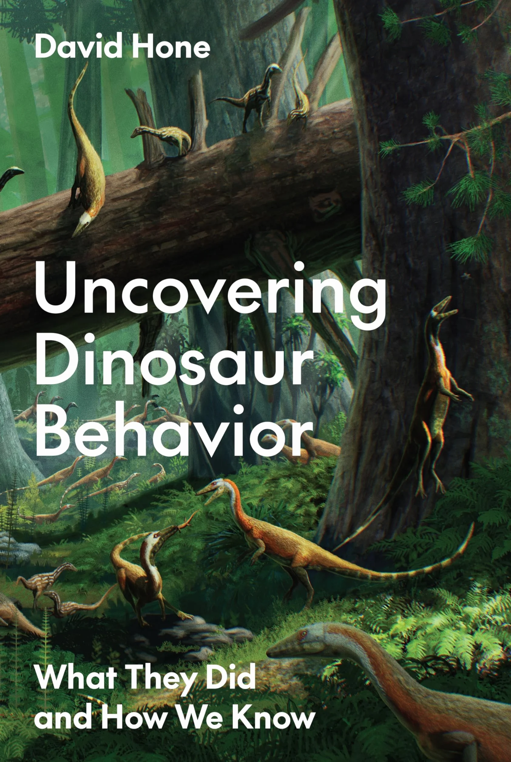 Uncovering Dinosaur Behavior: What They Did and How We Know