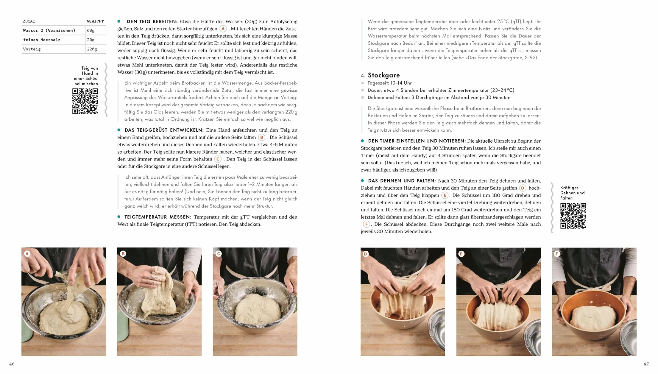 Das große Buch vom Sauerteig: Über 100 Rezepte und Anleitungen für Brote, Gebäck und Süßes. Mit Video-Tutorials zu Teigen und Techniken. Pizza, Brot, Bagels, Zimtschnecken u. v. m.