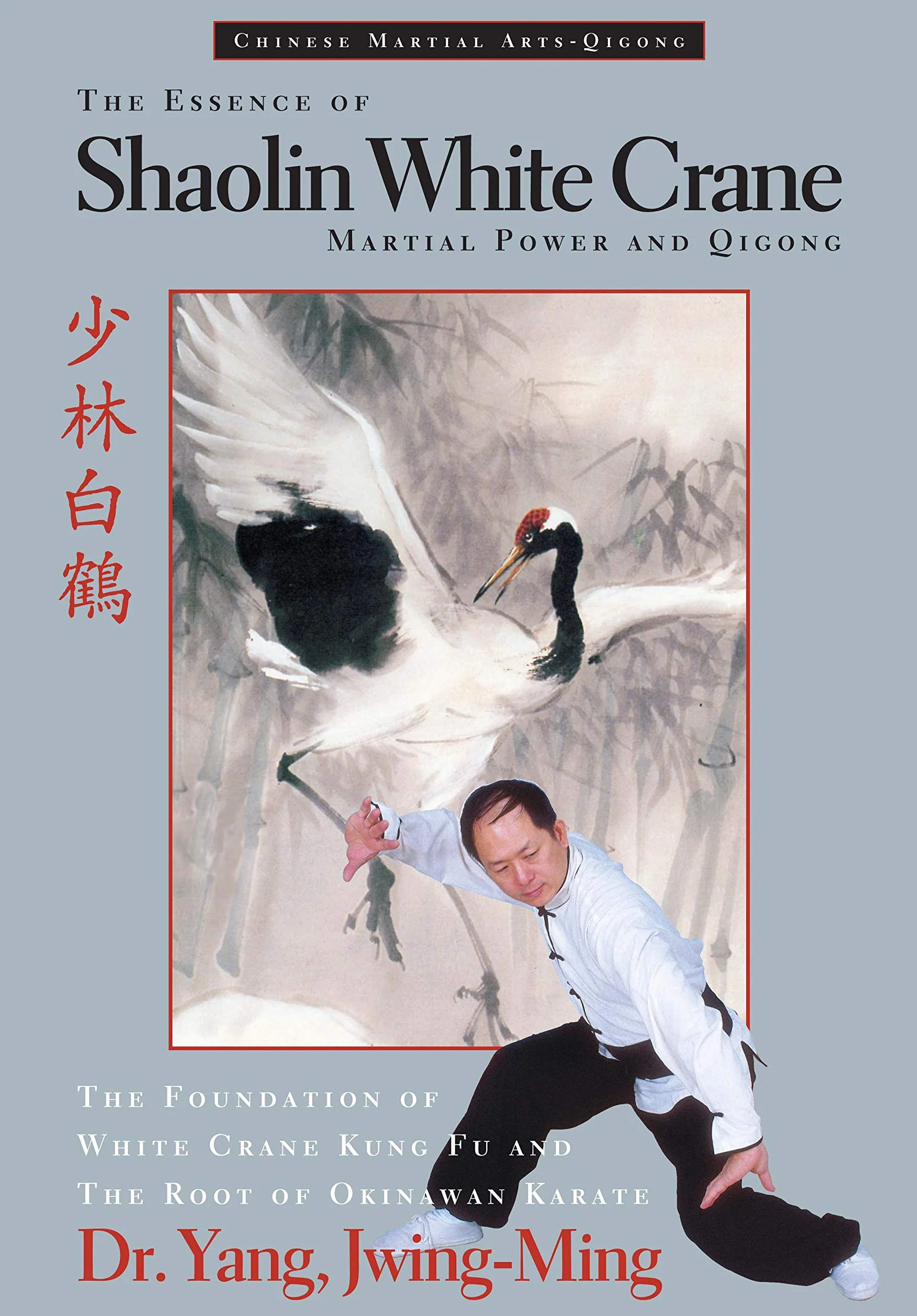 The Essence of Shaolin White Crane: Martial Power and Qigong